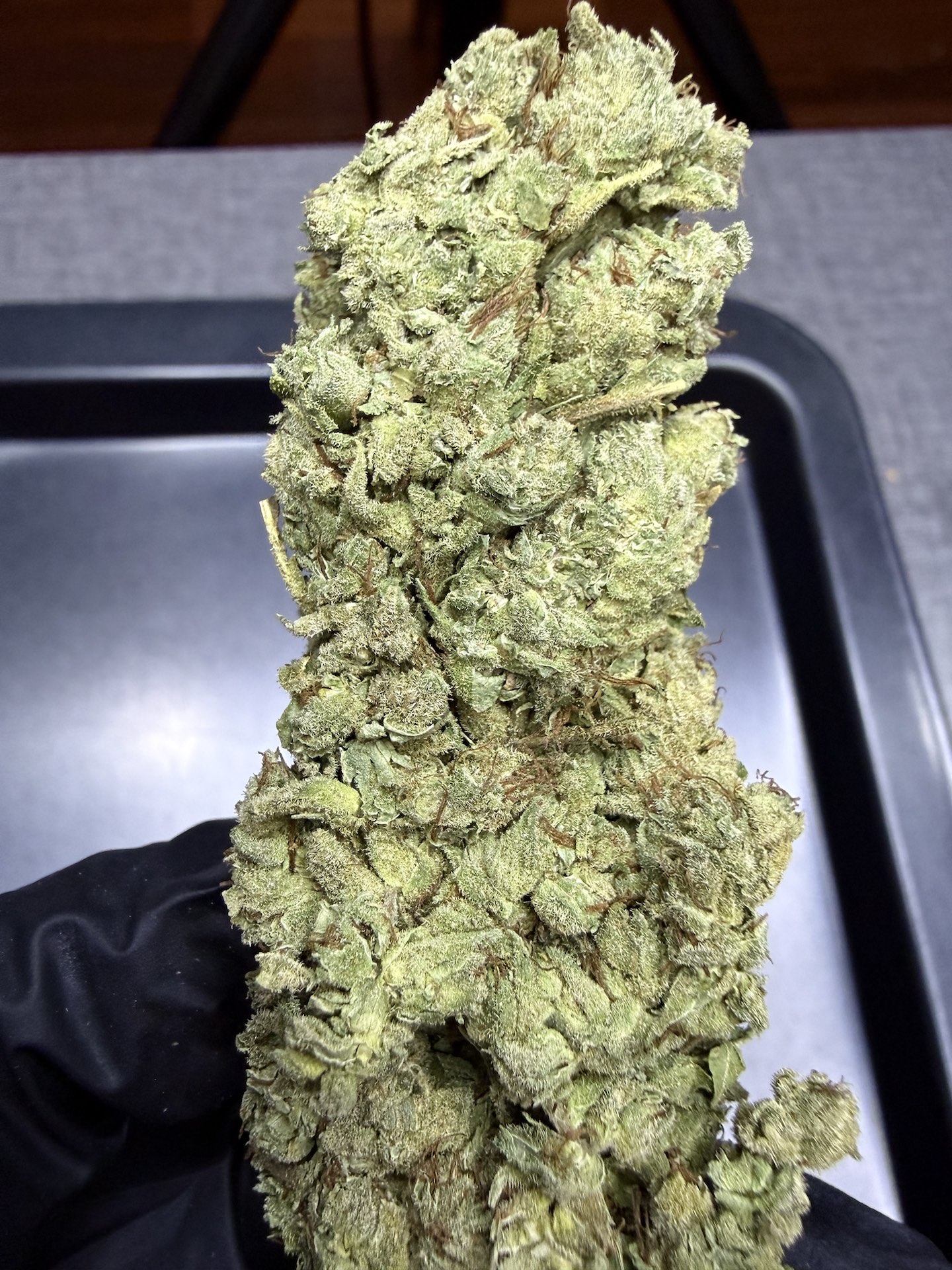 หางกระรอก OG / Thai Stick🚀 - Image 3