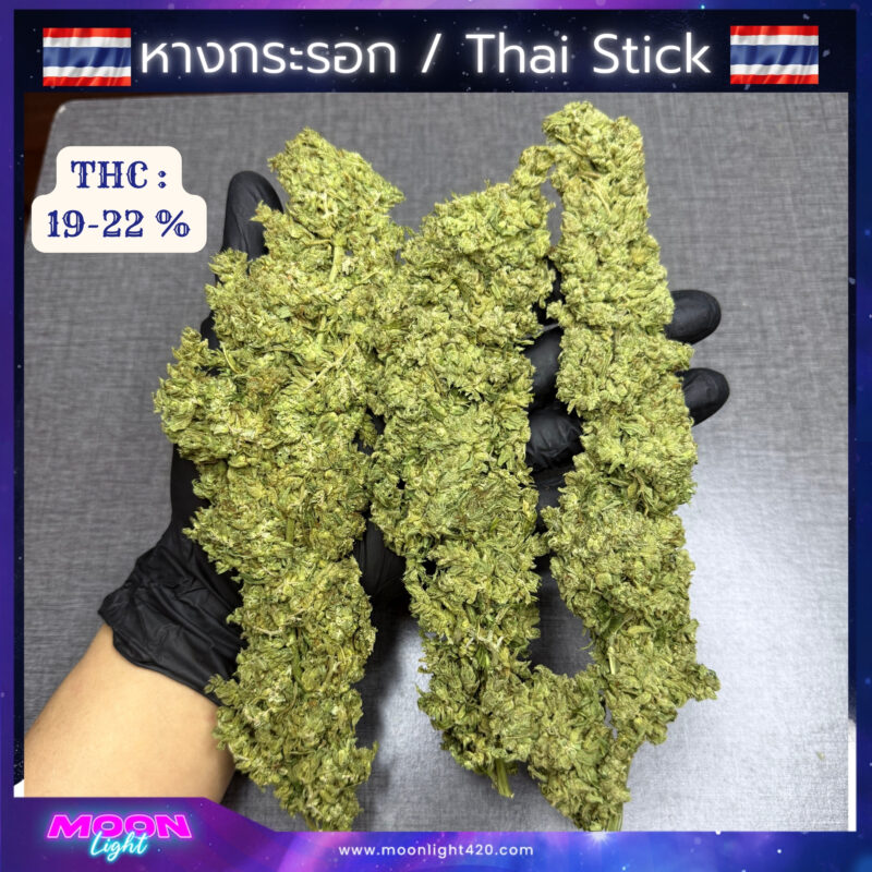 หางกระรอก OG / Thai Stick🚀