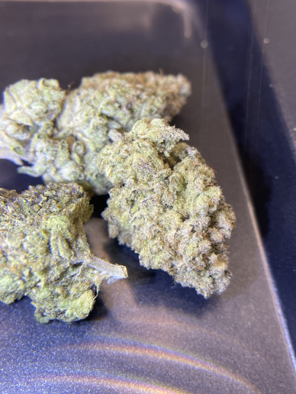 Fanta Sea RBX THC 25-30% By.ETHOS Genetics 🚀(Sold Out) 🚫 สินค้าที่ขายหมดแล้ว - Image 4