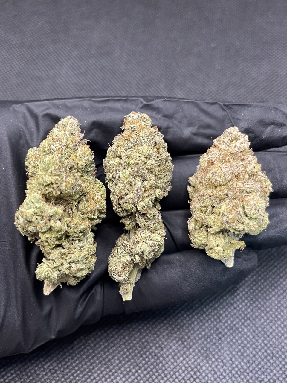 Fanta Sea RBX THC 25-30% By.ETHOS Genetics 🚀(Sold Out) 🚫 สินค้าที่ขายหมดแล้ว - Image 2