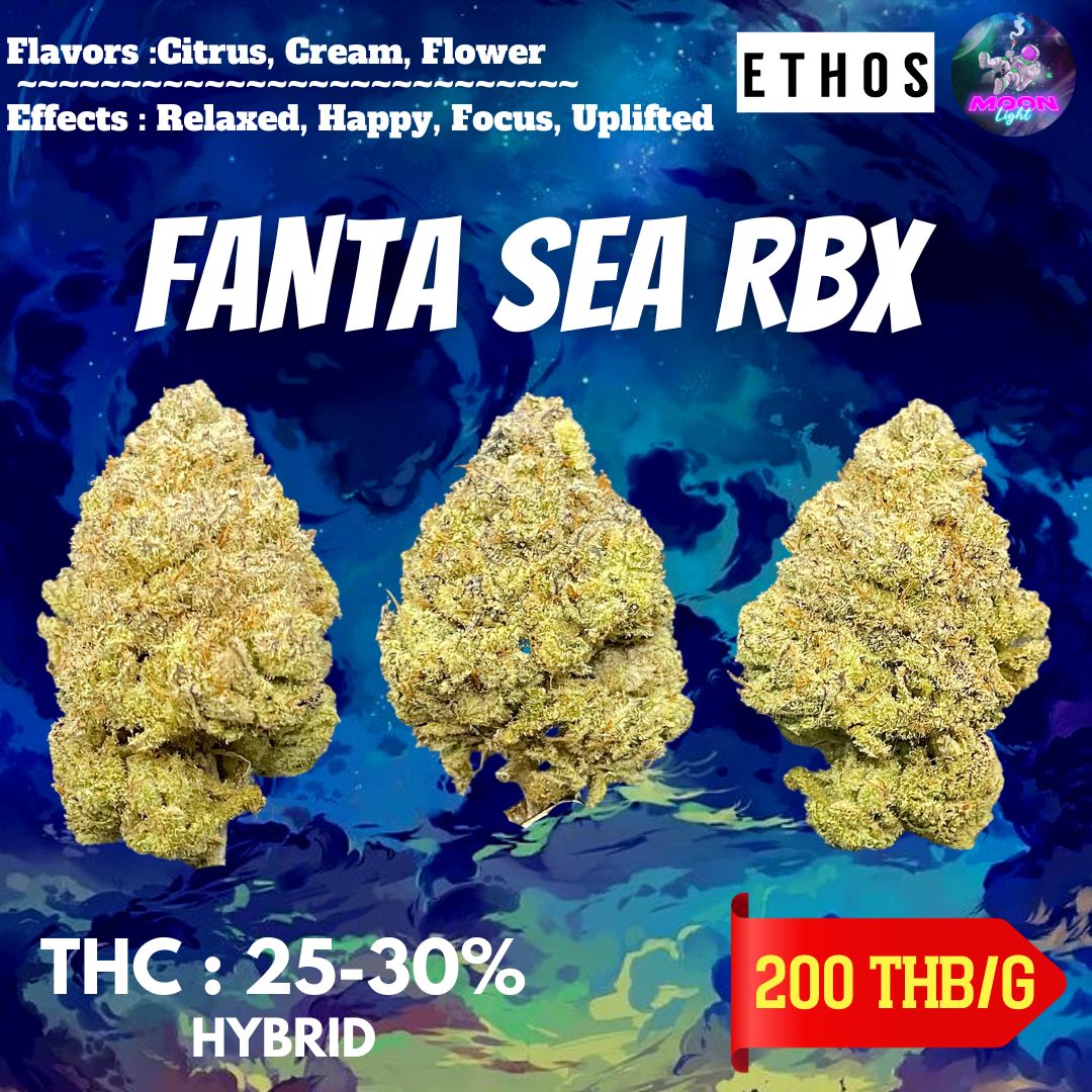 Fanta Sea RBX THC 25-30% By.ETHOS Genetics 🚀(Sold Out) 🚫 สินค้าที่ขายหมดแล้ว