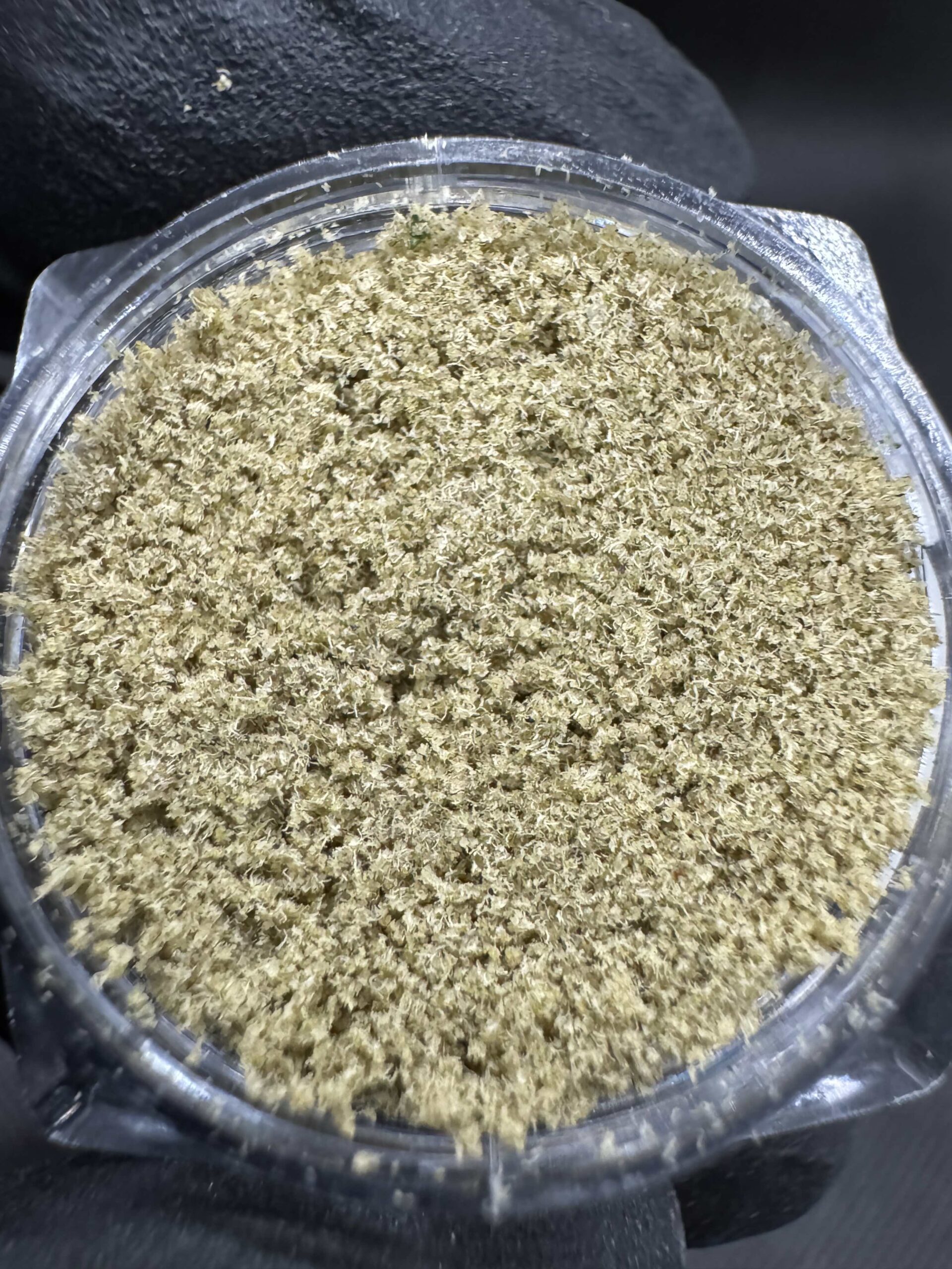 Kief (คีฟ) Tigerz Eye THC 50-60% By.Compound Genetics 🚀 (Sold Out) 🚫 สินค้าที่ขายหมดแล้ว - Image 3