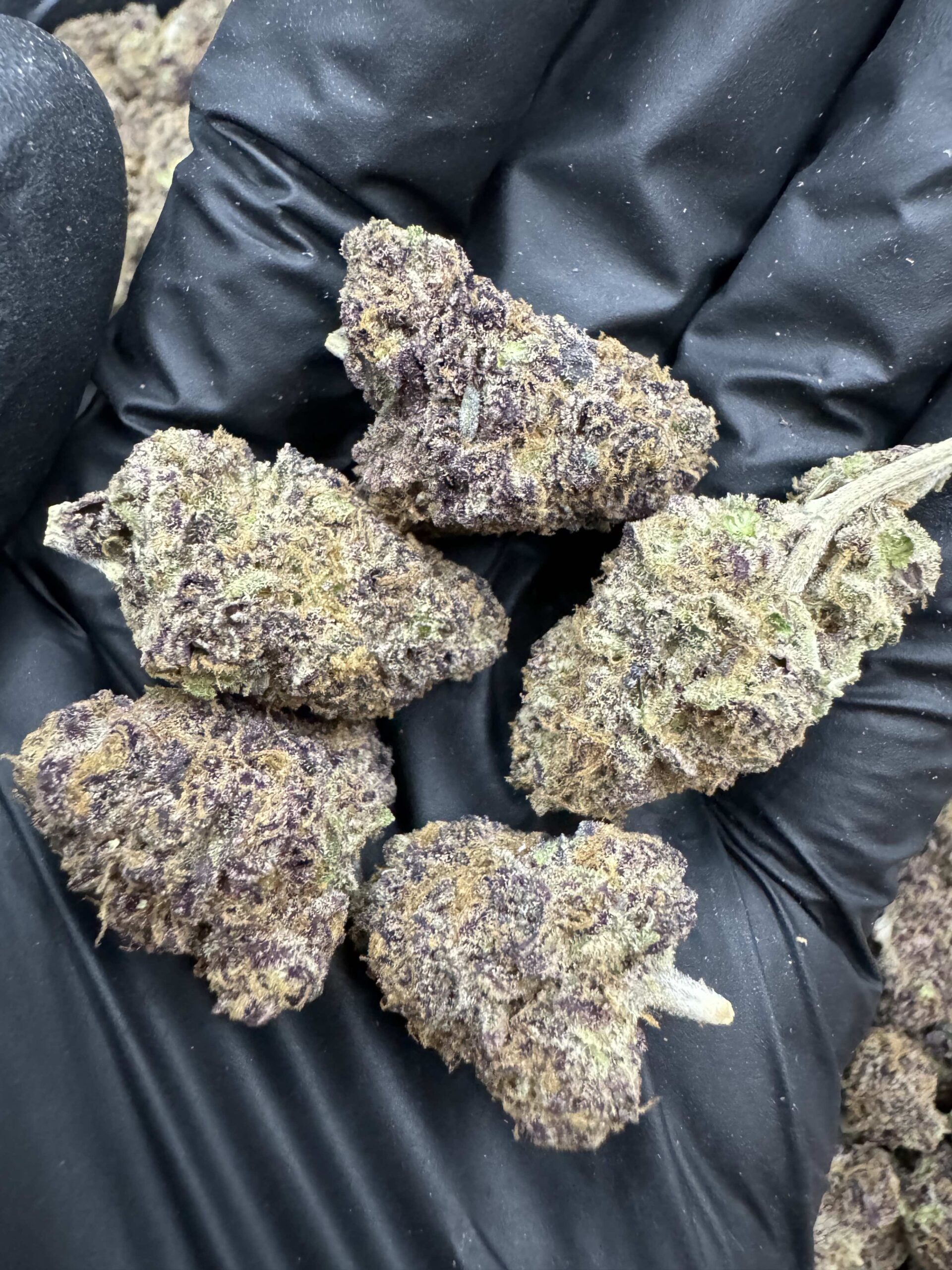 Fight Club (Pop) By.LIT Farms THC 25-30% ð - Image 2