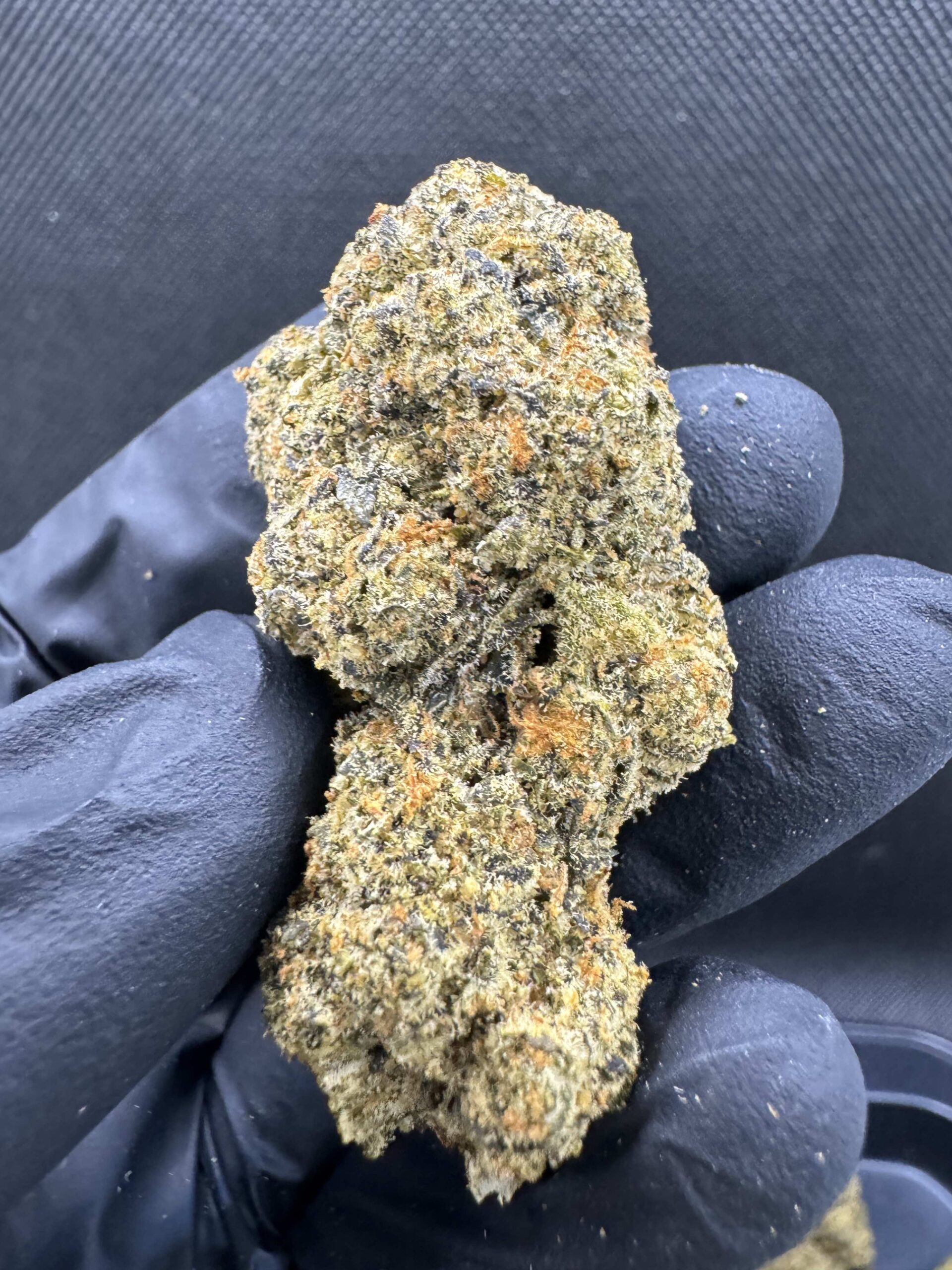 Jet Fuel Gelato THC 2530 🚀 MoonLight