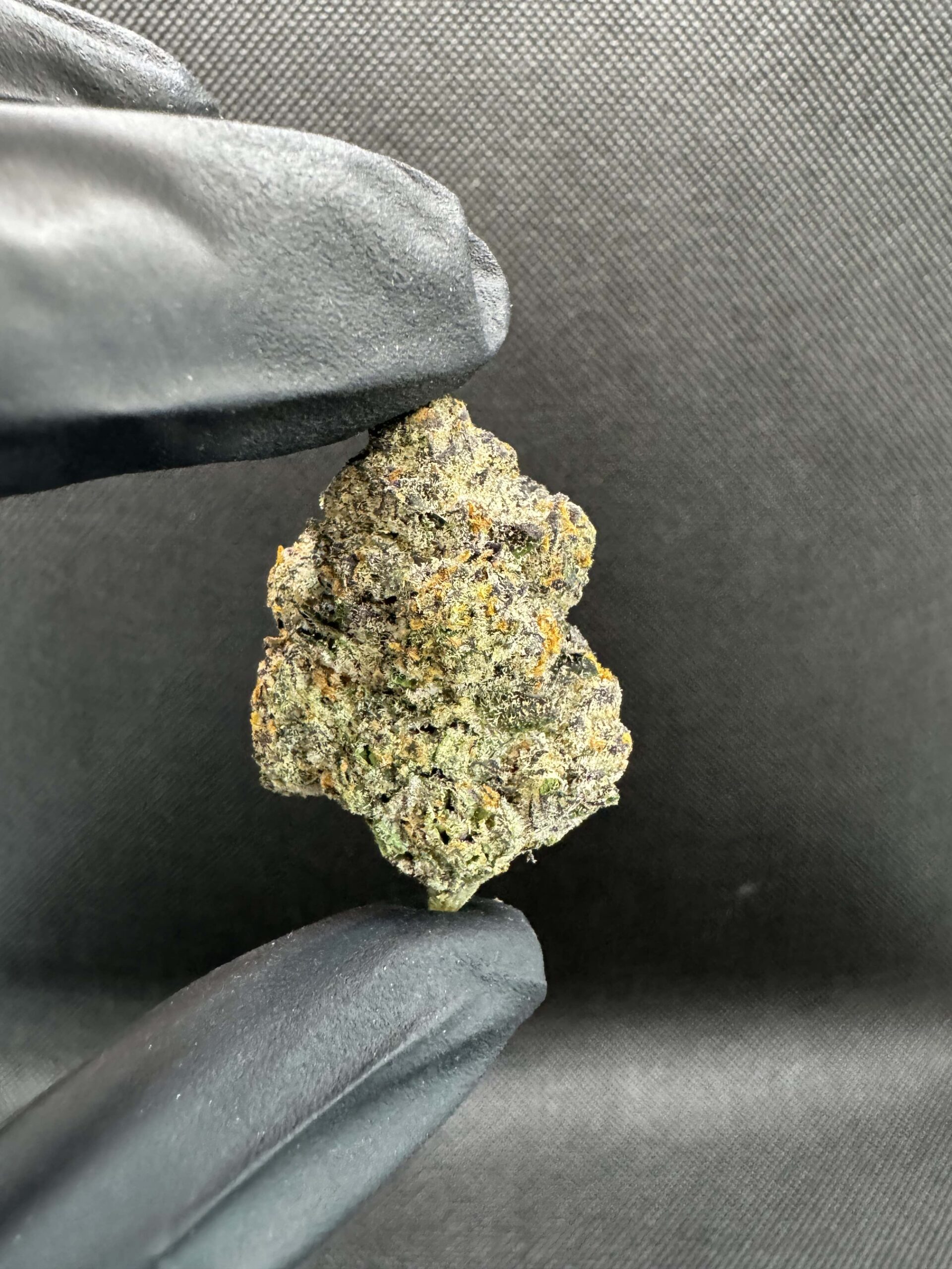 Kush Crasher By. Seed Junkies THC 28-32% 🚀 (Sold Out) 🚫 สินค้าที่ขายหมดแล้ว - Image 2