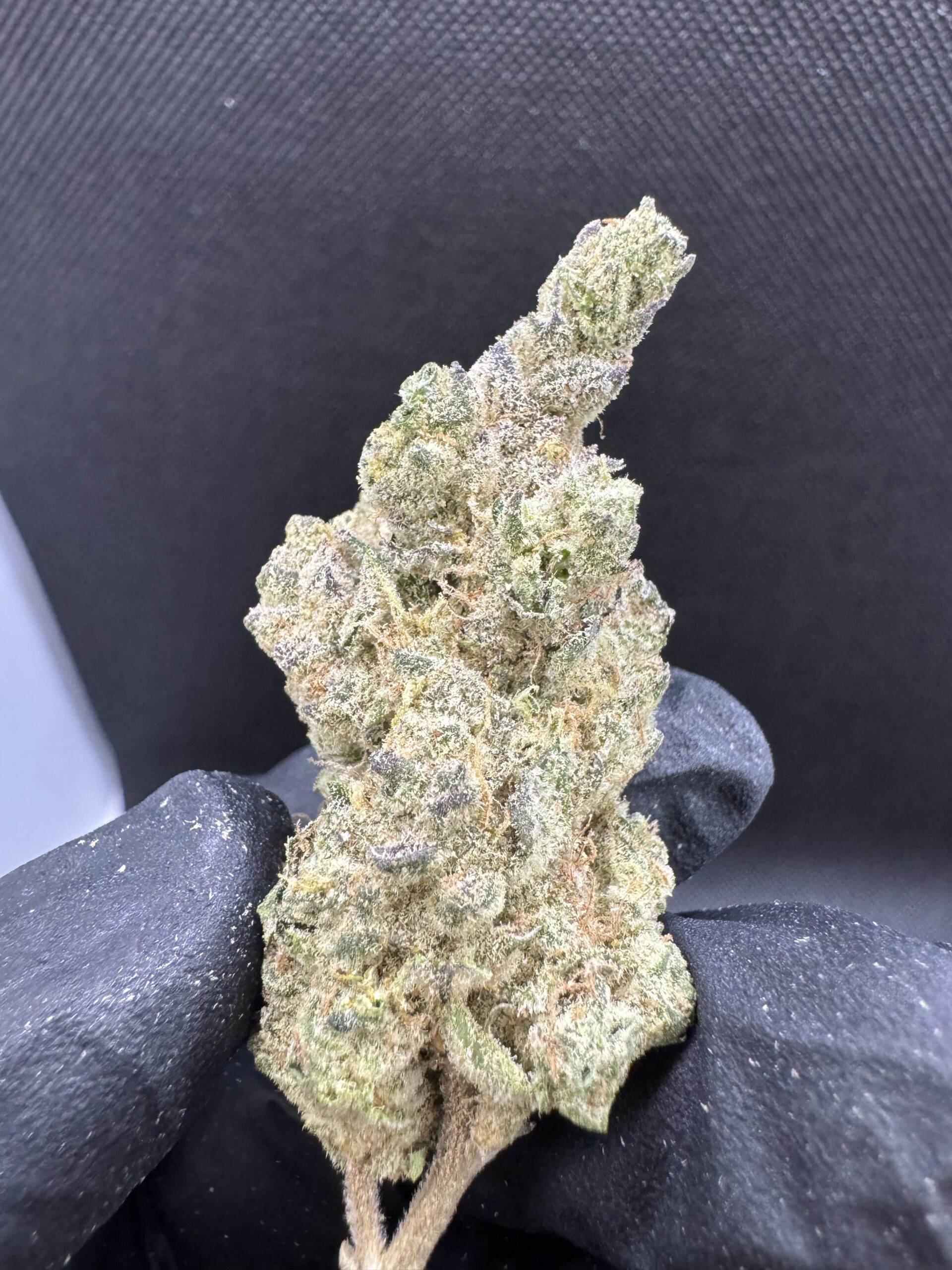 Marshmallow Mountain By. Exotic THC 2530 🚀 MoonLight