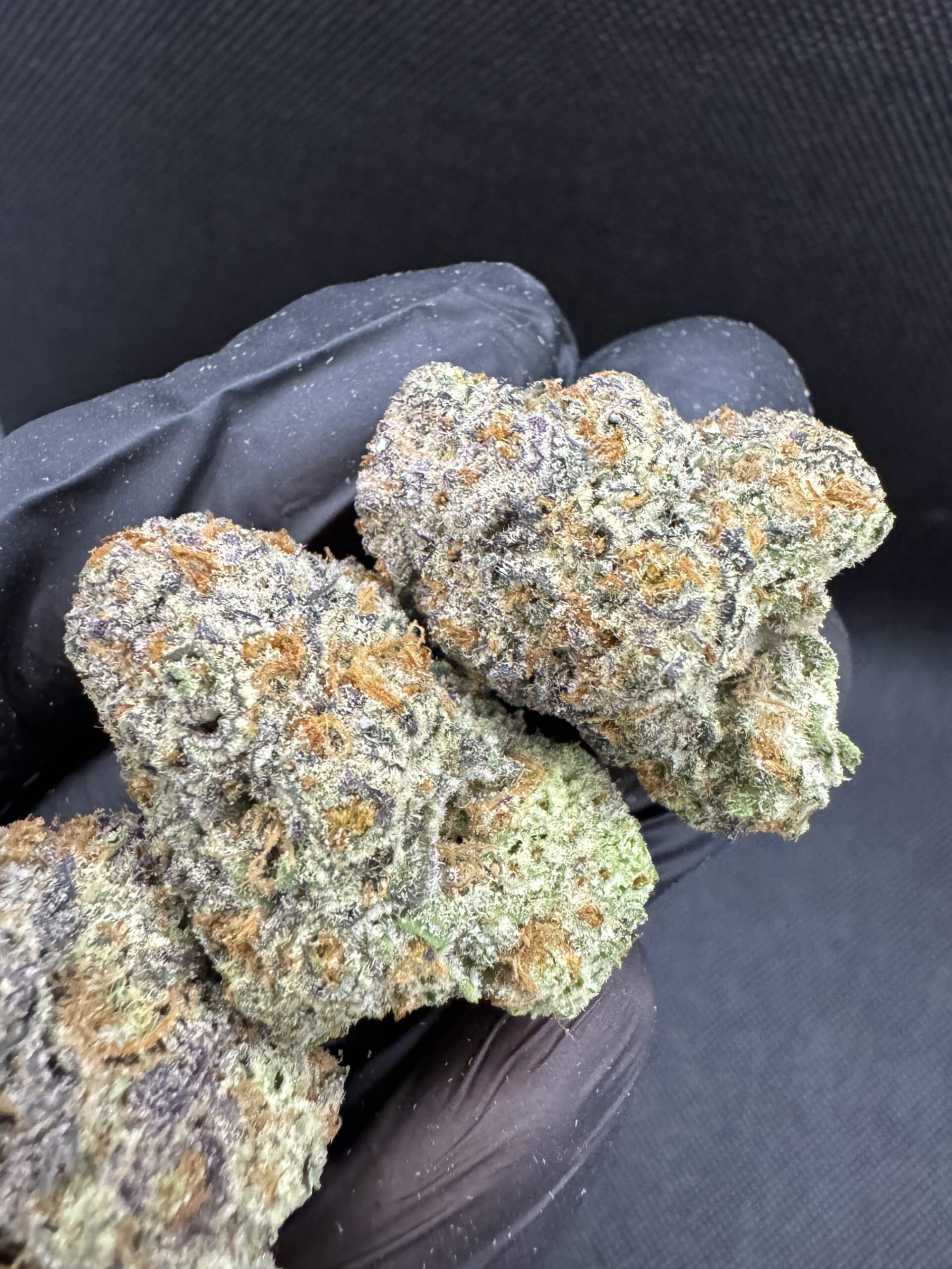 First Class Funk By. Compound Genetics THC 27-35% 🚀 (Sold Out) 🚫 สินค้าที่ขายหมดแล้ว - Image 2