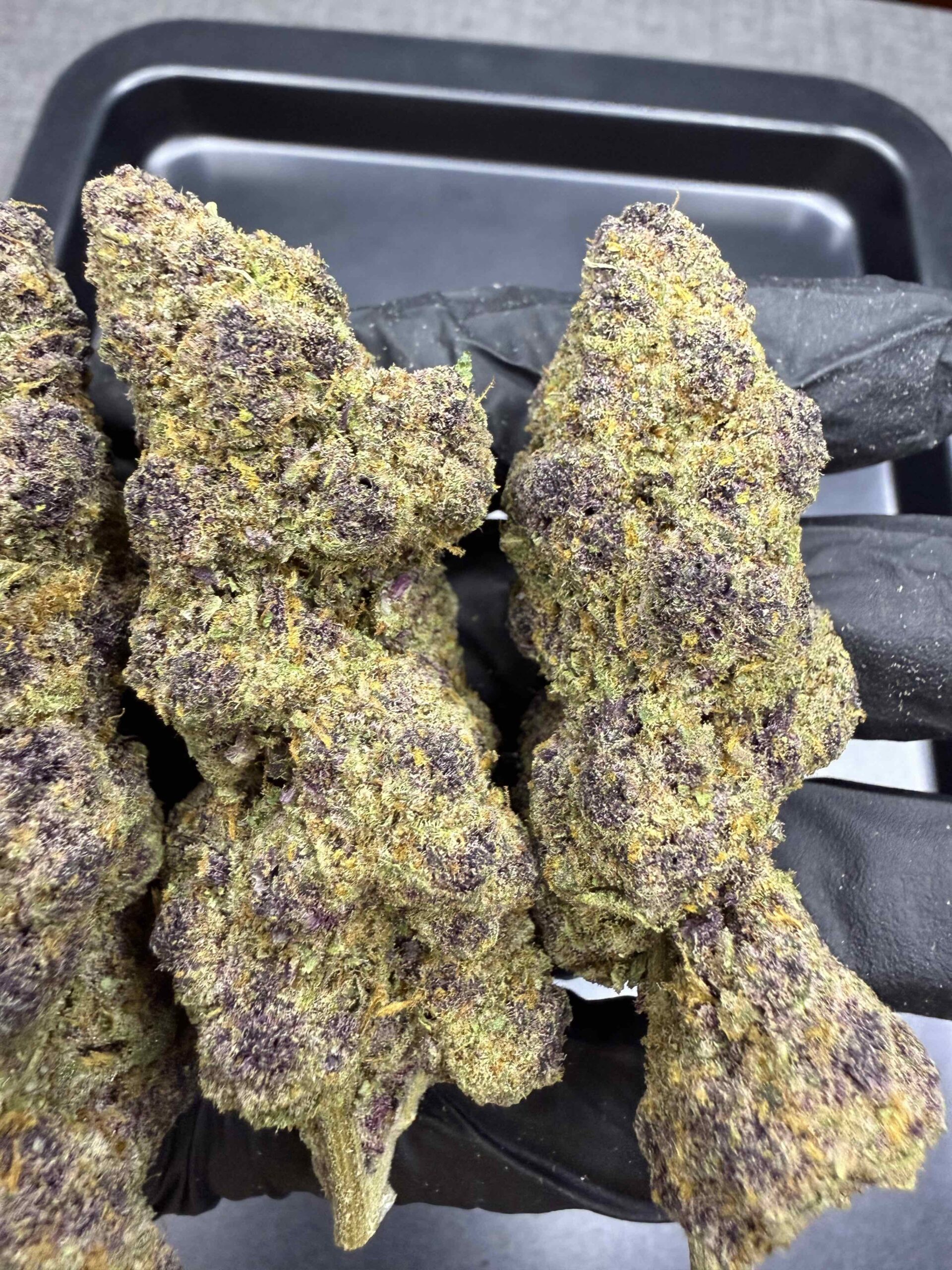 Queen of the South By. Relentless Genetics THC 25-30% 🌕 (Sold Out) 🚫 สินค้าที่ขายหมดแล้ว - Image 2