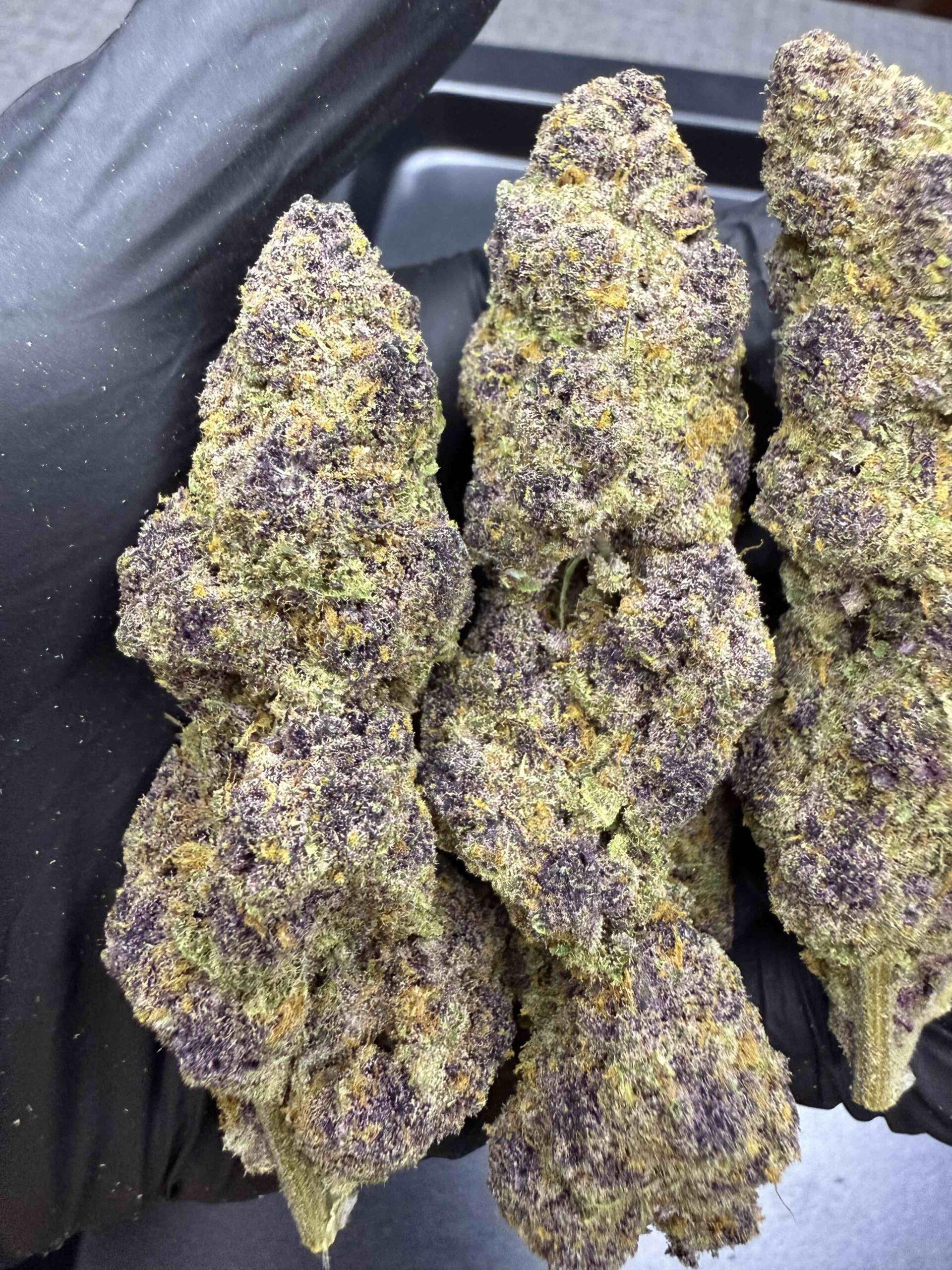 Queen of the South By. Relentless Genetics THC 25-30% 🌕 (Sold Out) 🚫 สินค้าที่ขายหมดแล้ว - Image 3