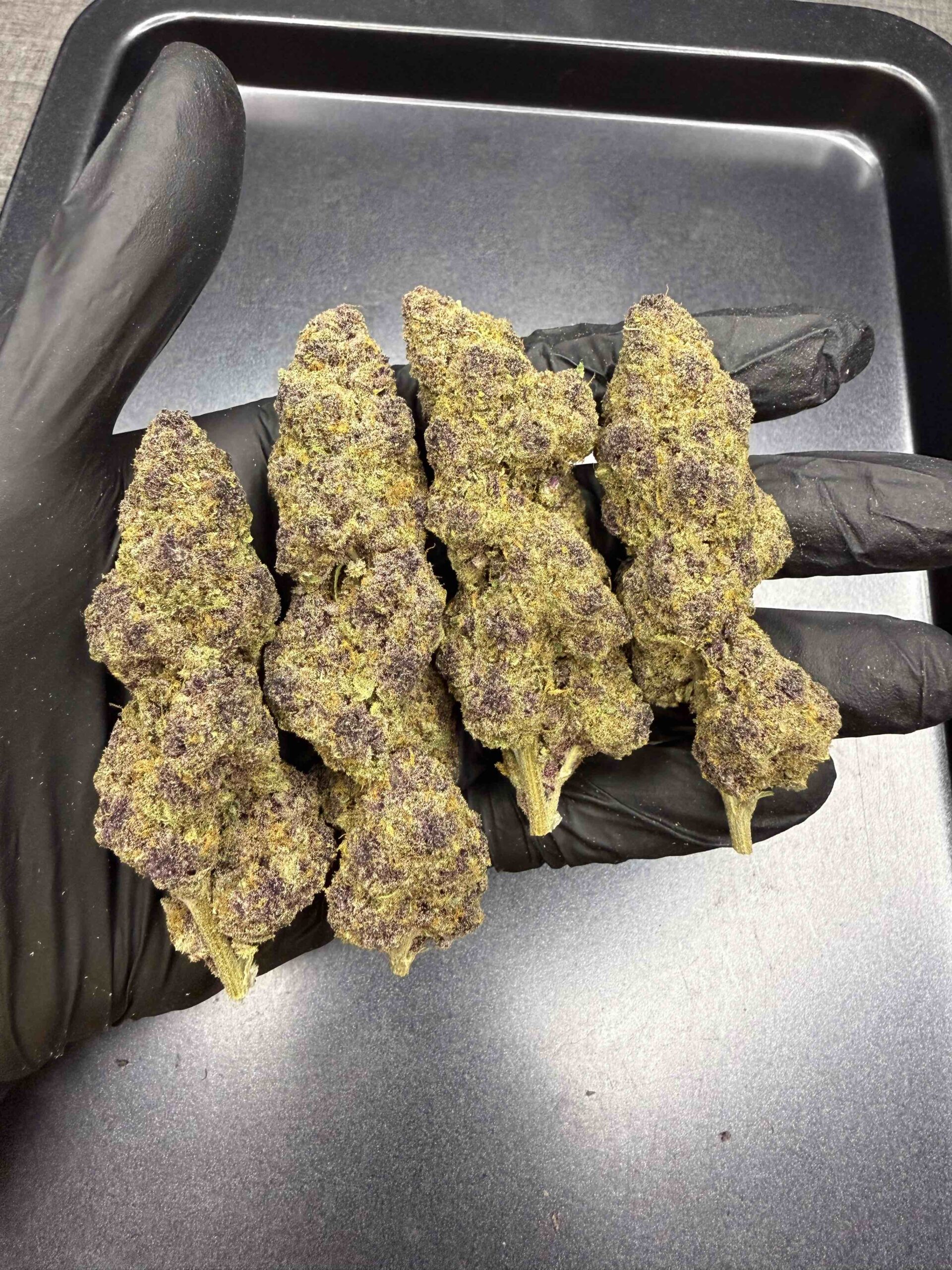 Queen of the South By. Relentless Genetics THC 25-30% 🌕 (Sold Out) 🚫 สินค้าที่ขายหมดแล้ว - Image 4