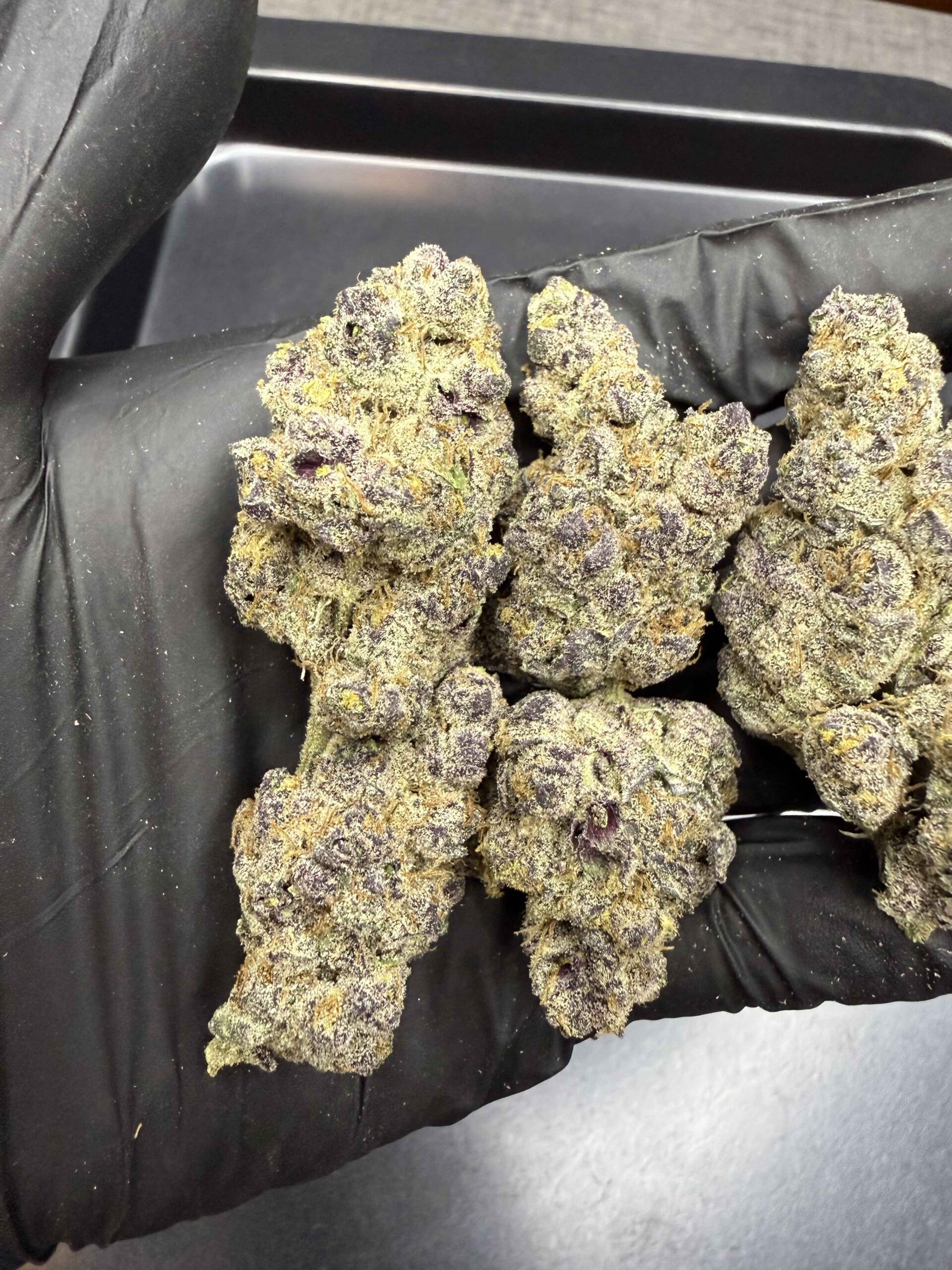 Sugar Show By. Exotic Genetix THC 25-30% 🚀 (Sold Out) 🚫 สินค้าที่ขายหมดแล้ว - Image 3