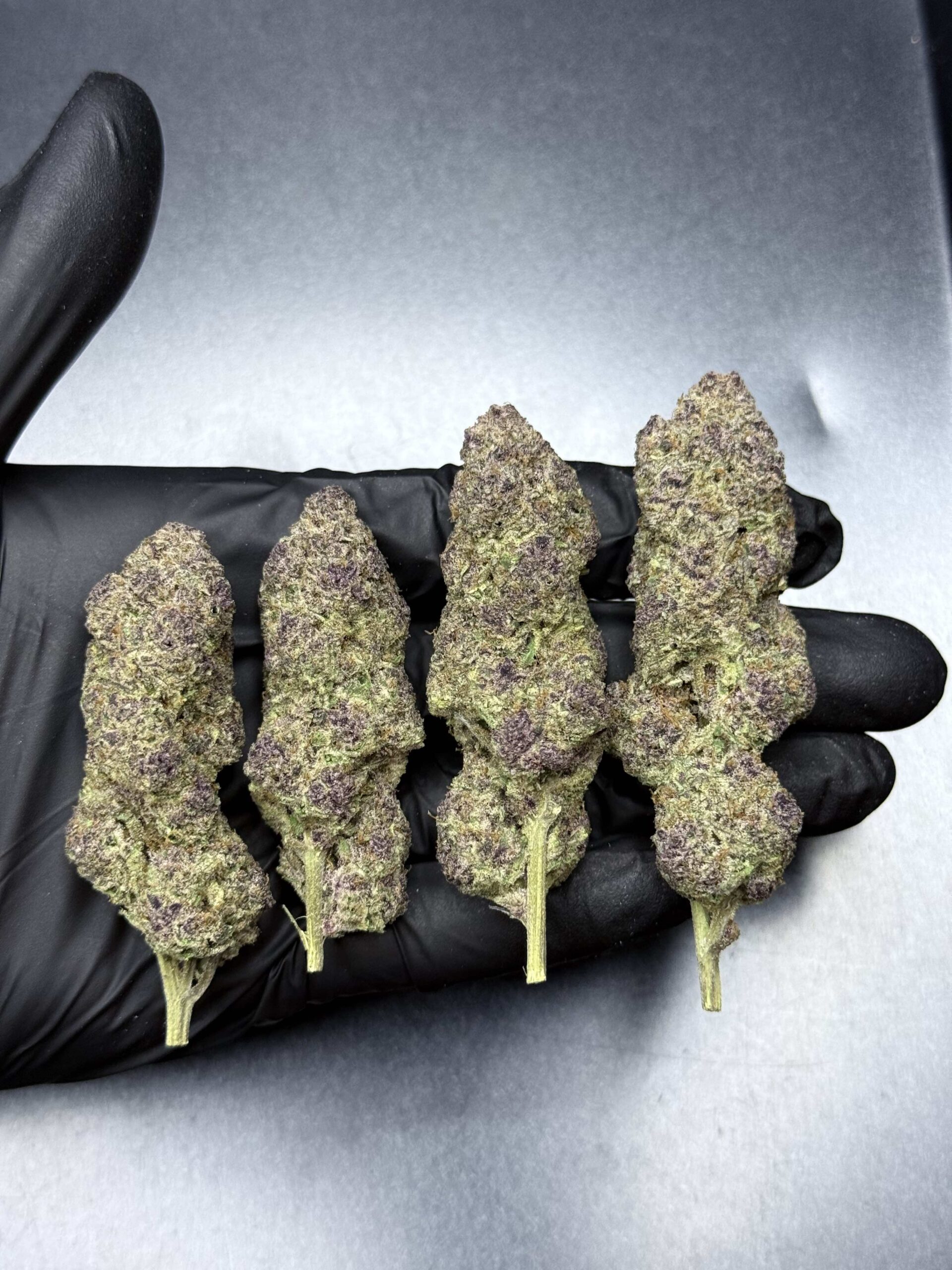 Maraschino By. Grow More Fire THC 25-30% 🌕 (Sold Out) 🚫 สินค้าที่ขายหมดแล้ว - Image 5