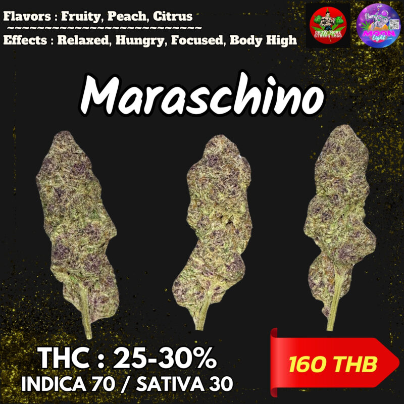 Maraschino By. Grow More Fire THC 25-30% 🌕 (Sold Out) 🚫 สินค้าที่ขายหมดแล้ว