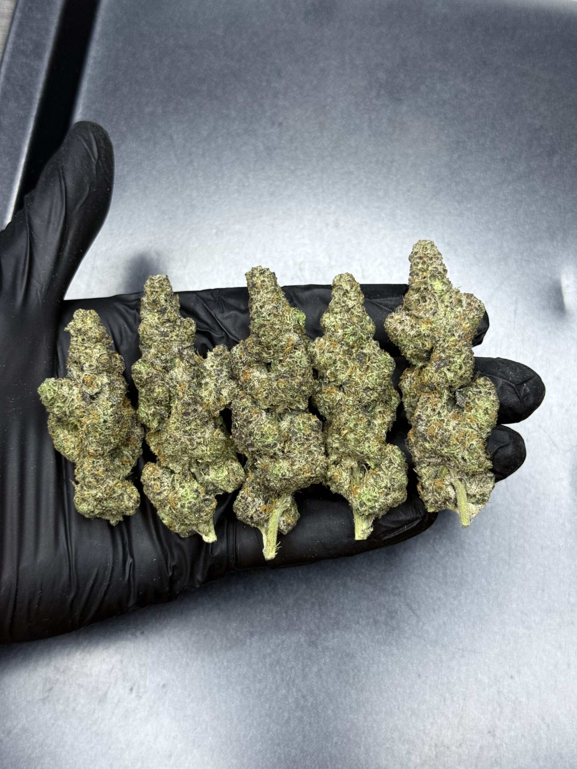 MORTAL KOMBAT By. Grow More Fire THC 30%+ 🌕 (Sold Out) 🚫 สินค้าที่ขายหมดแล้ว - Image 2