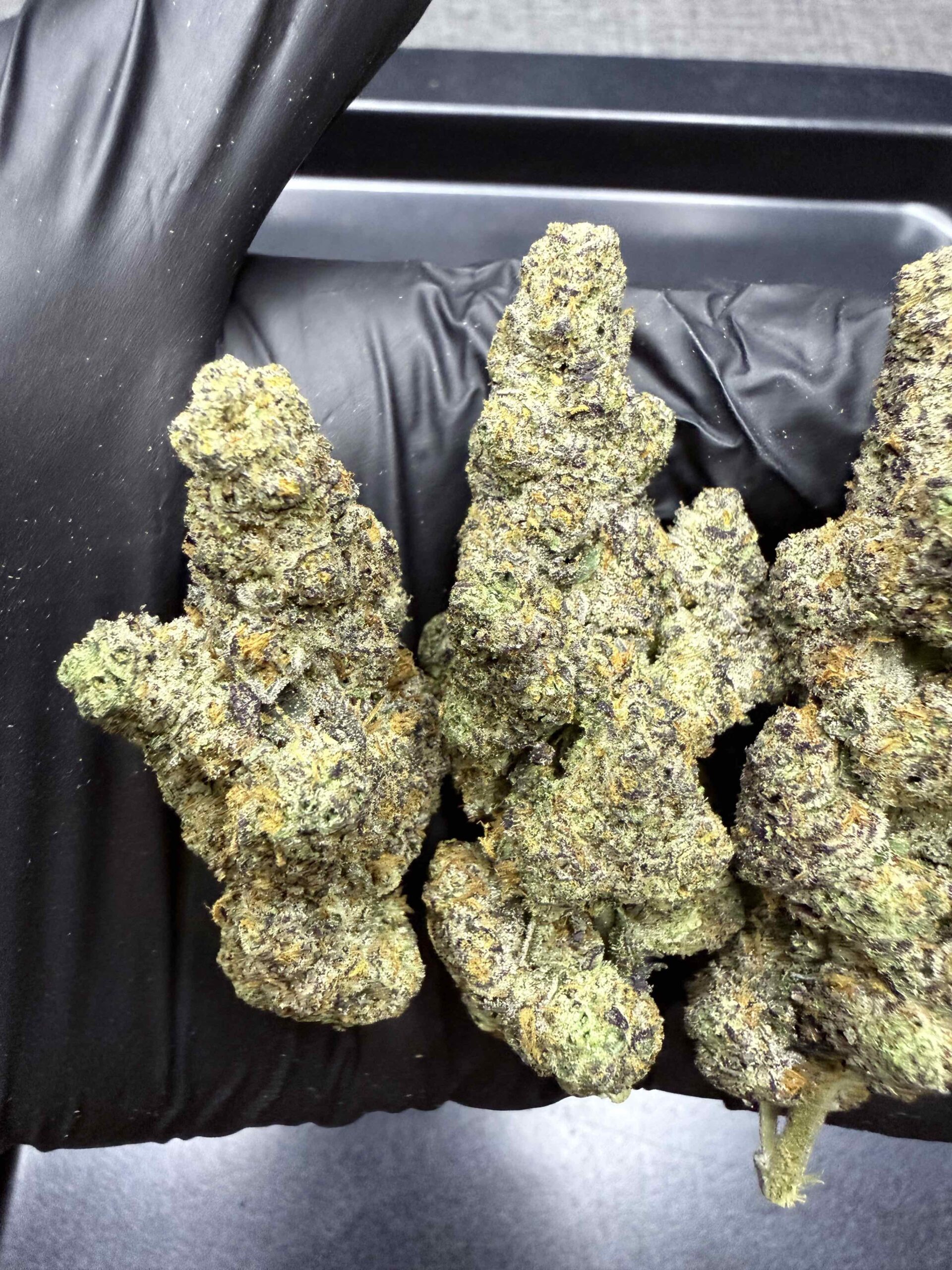 MORTAL KOMBAT By. Grow More Fire THC 30%+ 🌕 (Sold Out) 🚫 สินค้าที่ขายหมดแล้ว - Image 4