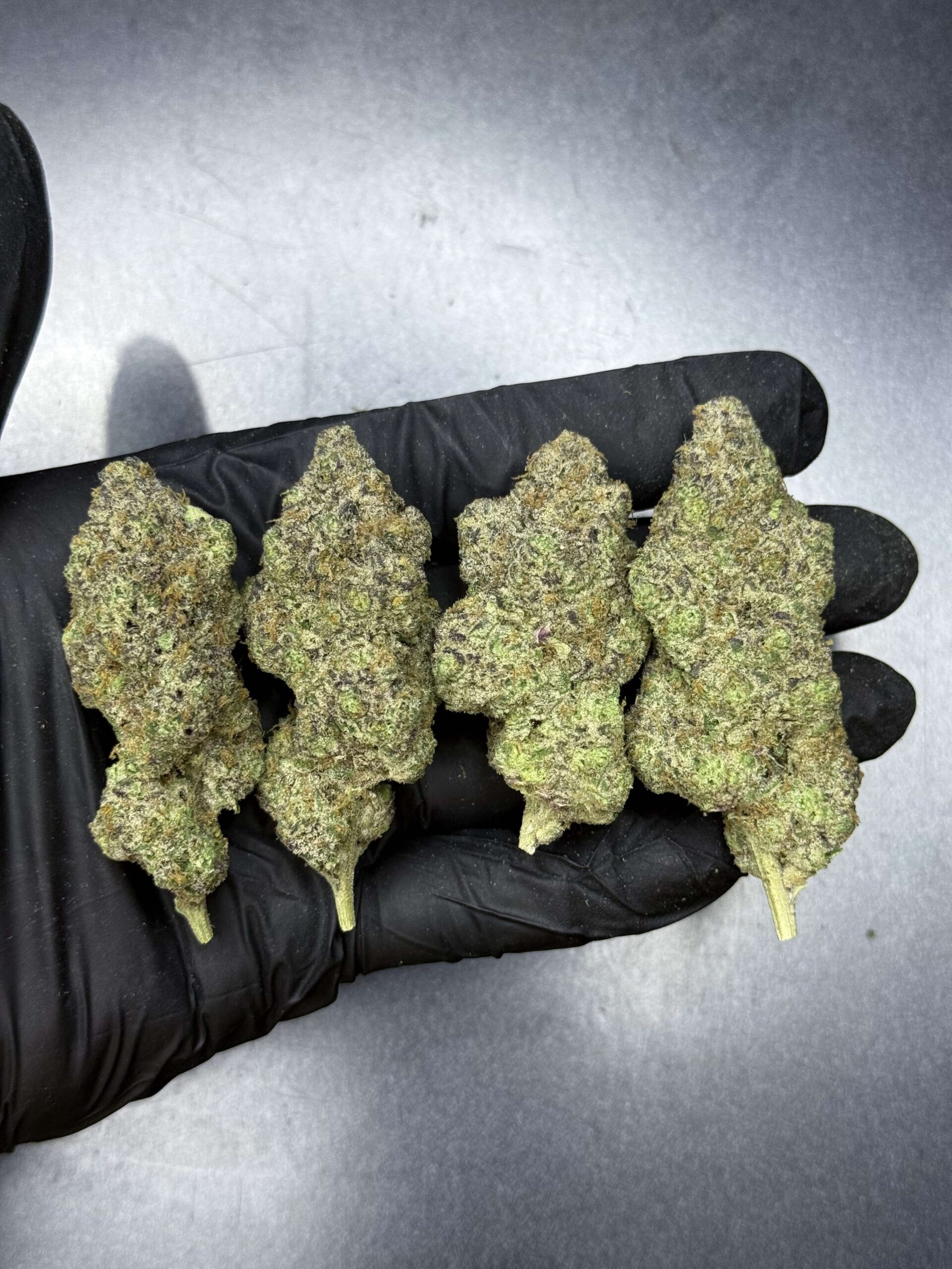 Orange Kush Cake By. ETHOS Genetics THC 30%+ 🌕 (Sold Out) 🚫 สินค้าที่ขายหมดแล้ว - Image 2