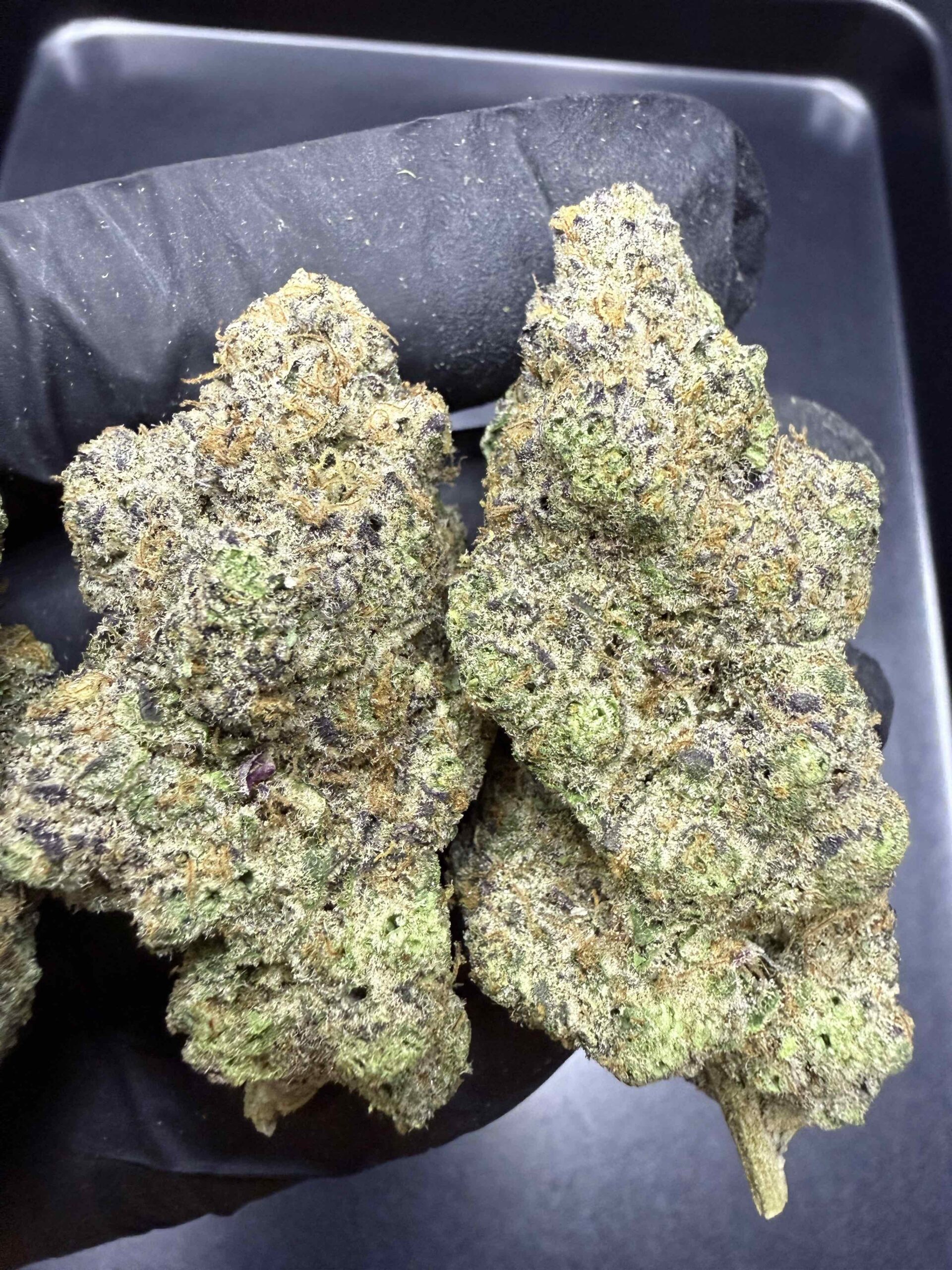 Orange Kush Cake By. ETHOS Genetics THC 30%+ 🌕 (Sold Out) 🚫 สินค้าที่ขายหมดแล้ว - Image 5