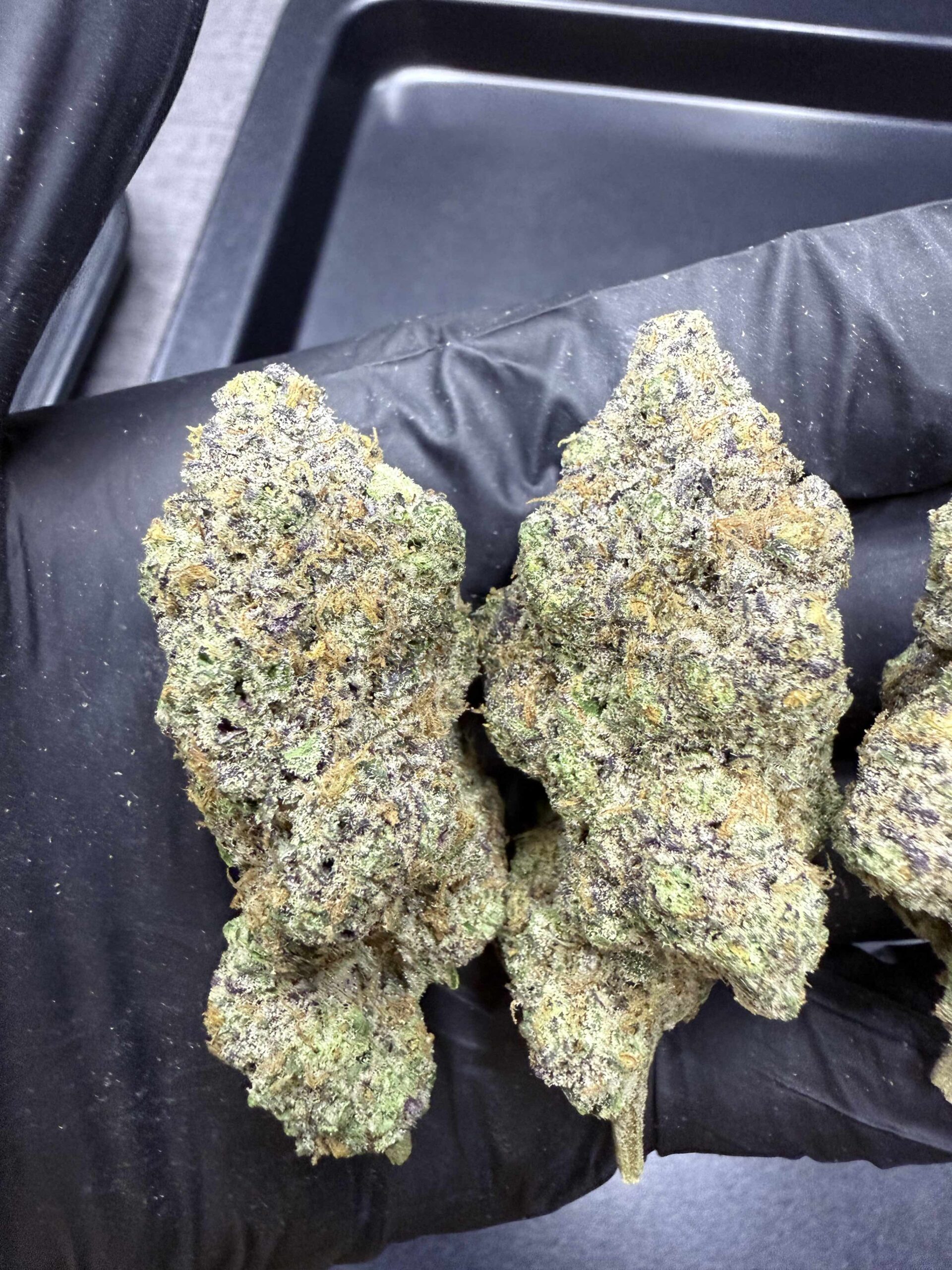 Orange Kush Cake By. ETHOS Genetics THC 30%+ 🌕 (Sold Out) 🚫 สินค้าที่ขายหมดแล้ว - Image 3