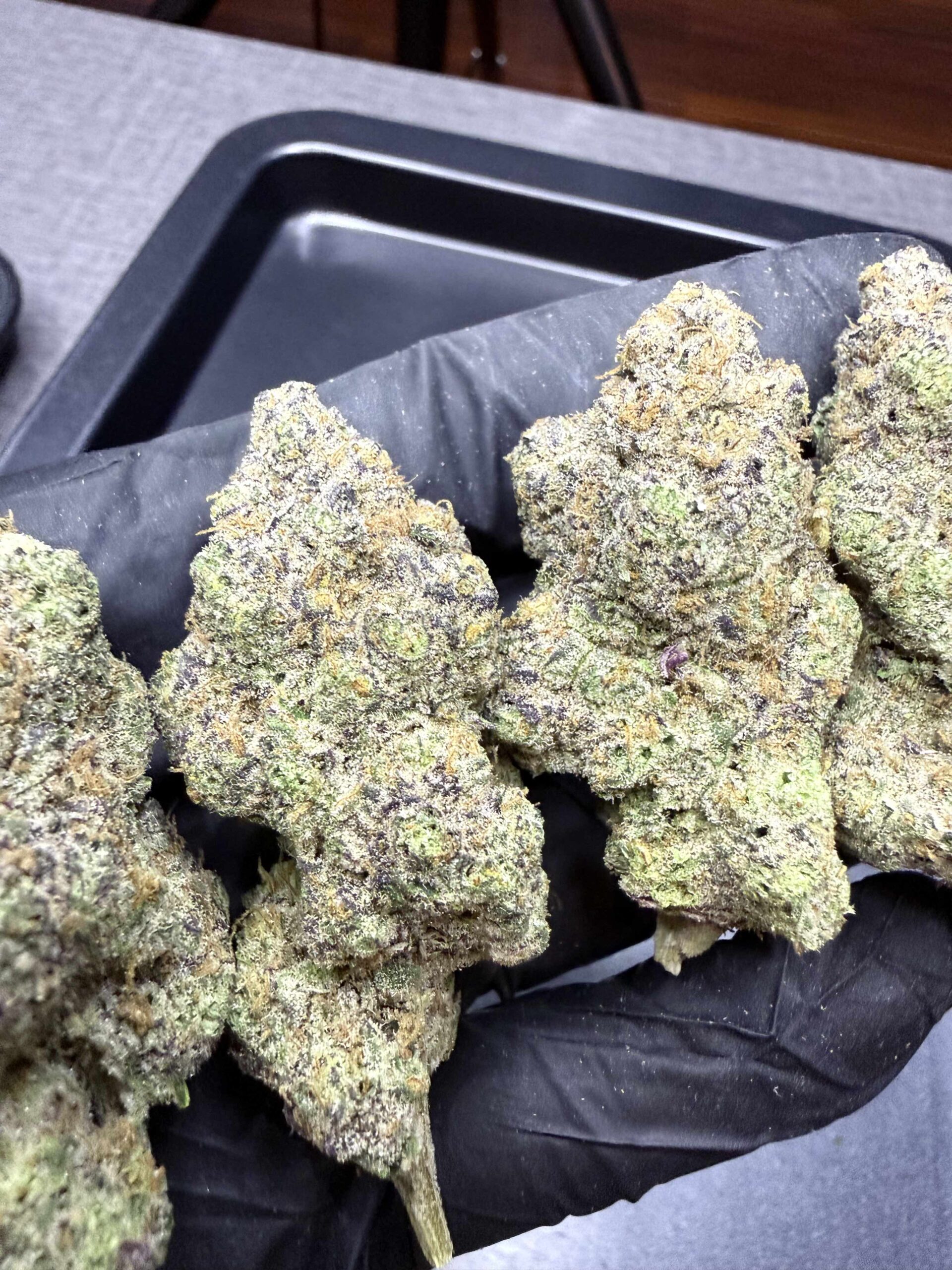 Orange Kush Cake By. ETHOS Genetics THC 30%+ 🌕 (Sold Out) 🚫 สินค้าที่ขายหมดแล้ว - Image 4