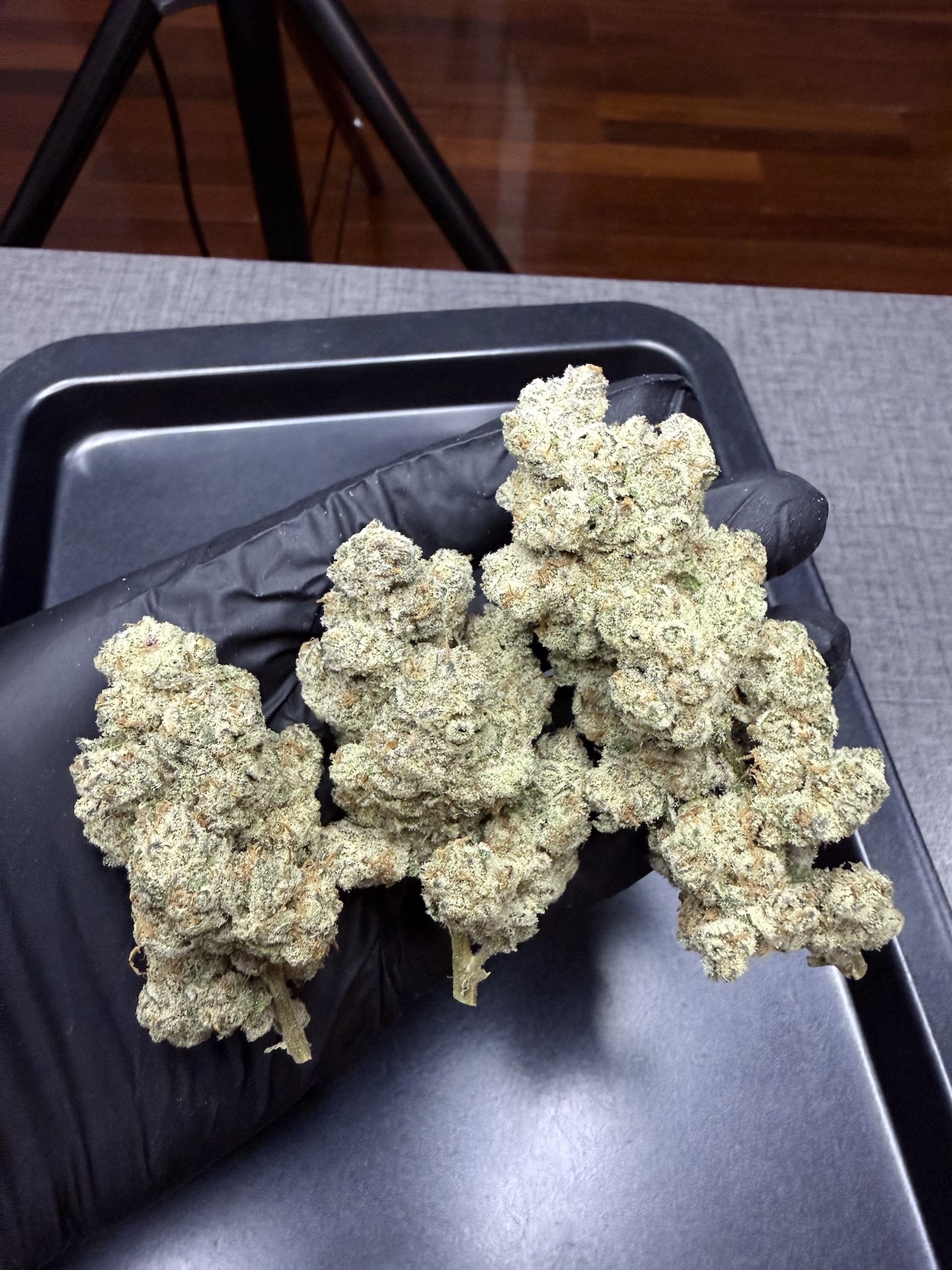 Rainbow Runtz S1 By. Copycat Genetix THC 30-33% (Sold Out) 🚫 สินค้าที่ขายหมดแล้ว - Image 5