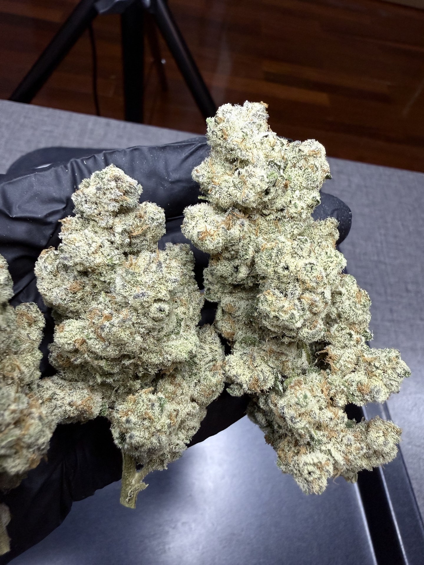 Rainbow Runtz S1 By. Copycat Genetix THC 30-33% (Sold Out) 🚫 สินค้าที่ขายหมดแล้ว - Image 4