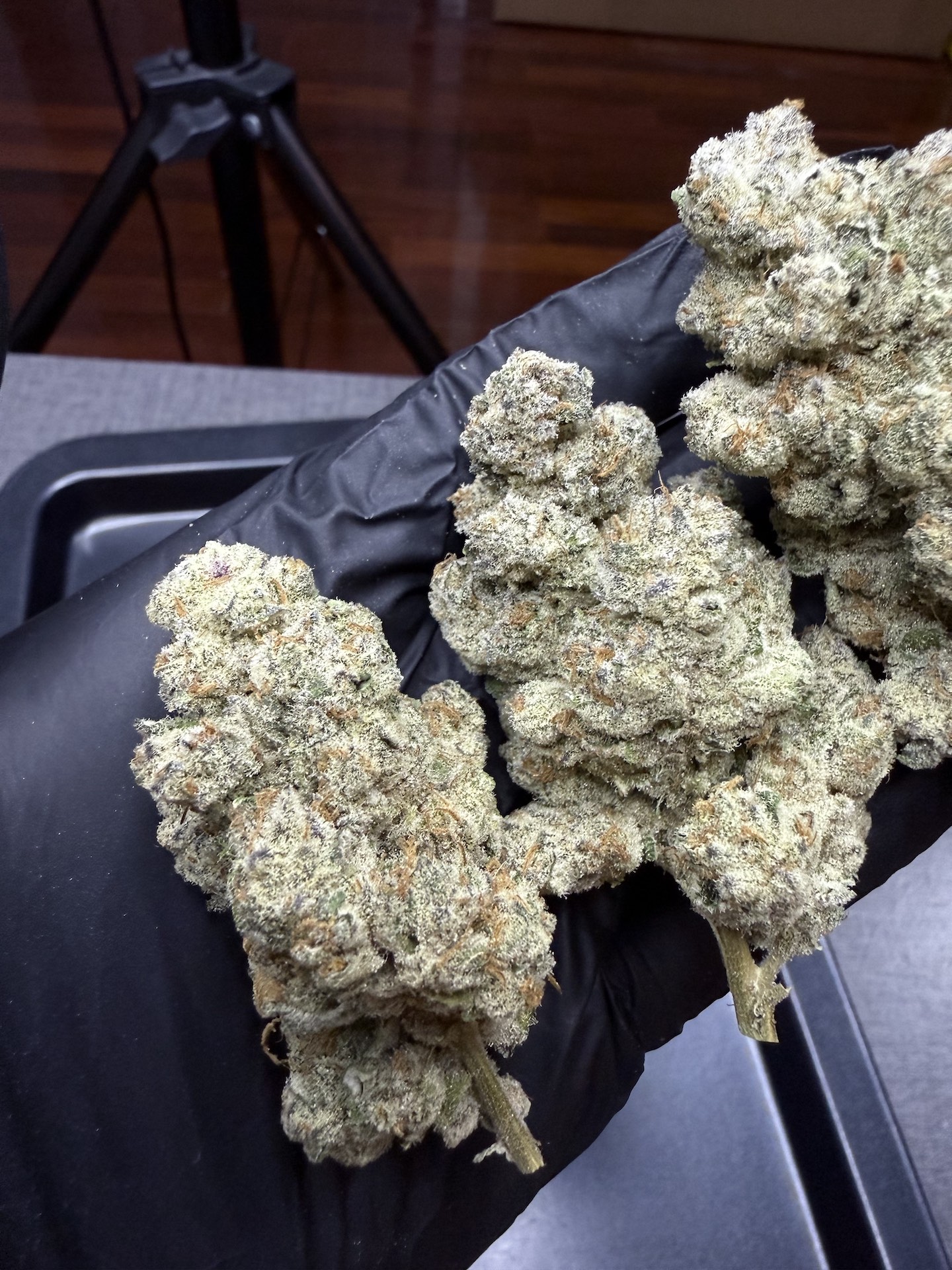 Rainbow Runtz S1 By. Copycat Genetix THC 30-33% (Sold Out) 🚫 สินค้าที่ขายหมดแล้ว - Image 3