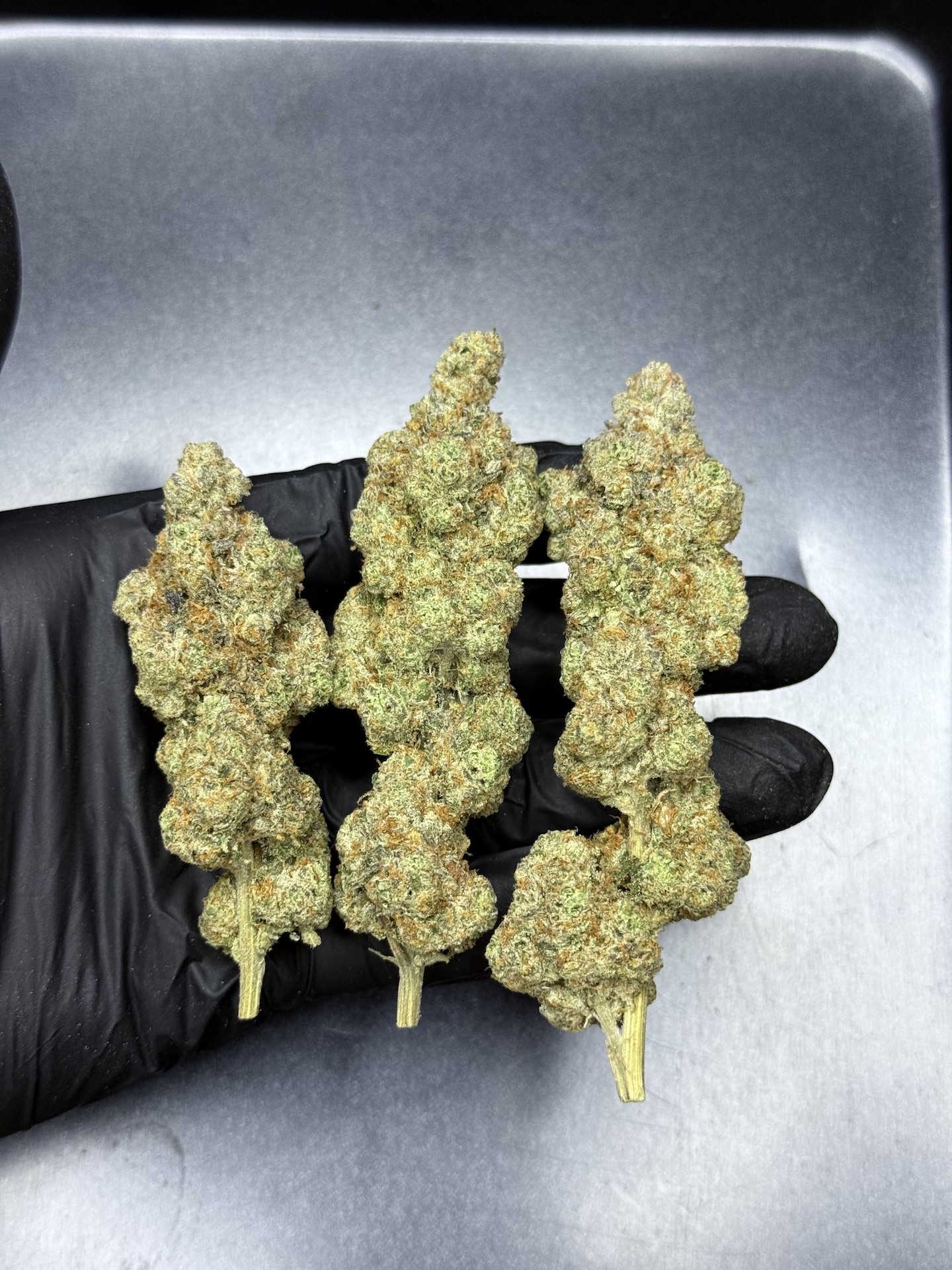 Unicorn Poop By. ThugPug Genetics THC 25-30% (Sold Out) 🚫 สินค้าที่ขายหมดแล้ว - Image 5