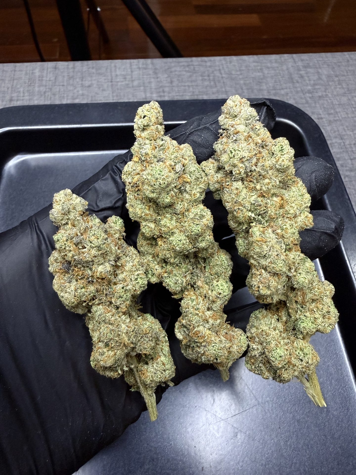 Unicorn Poop By. ThugPug Genetics THC 25-30% (Sold Out) 🚫 สินค้าที่ขายหมดแล้ว - Image 4