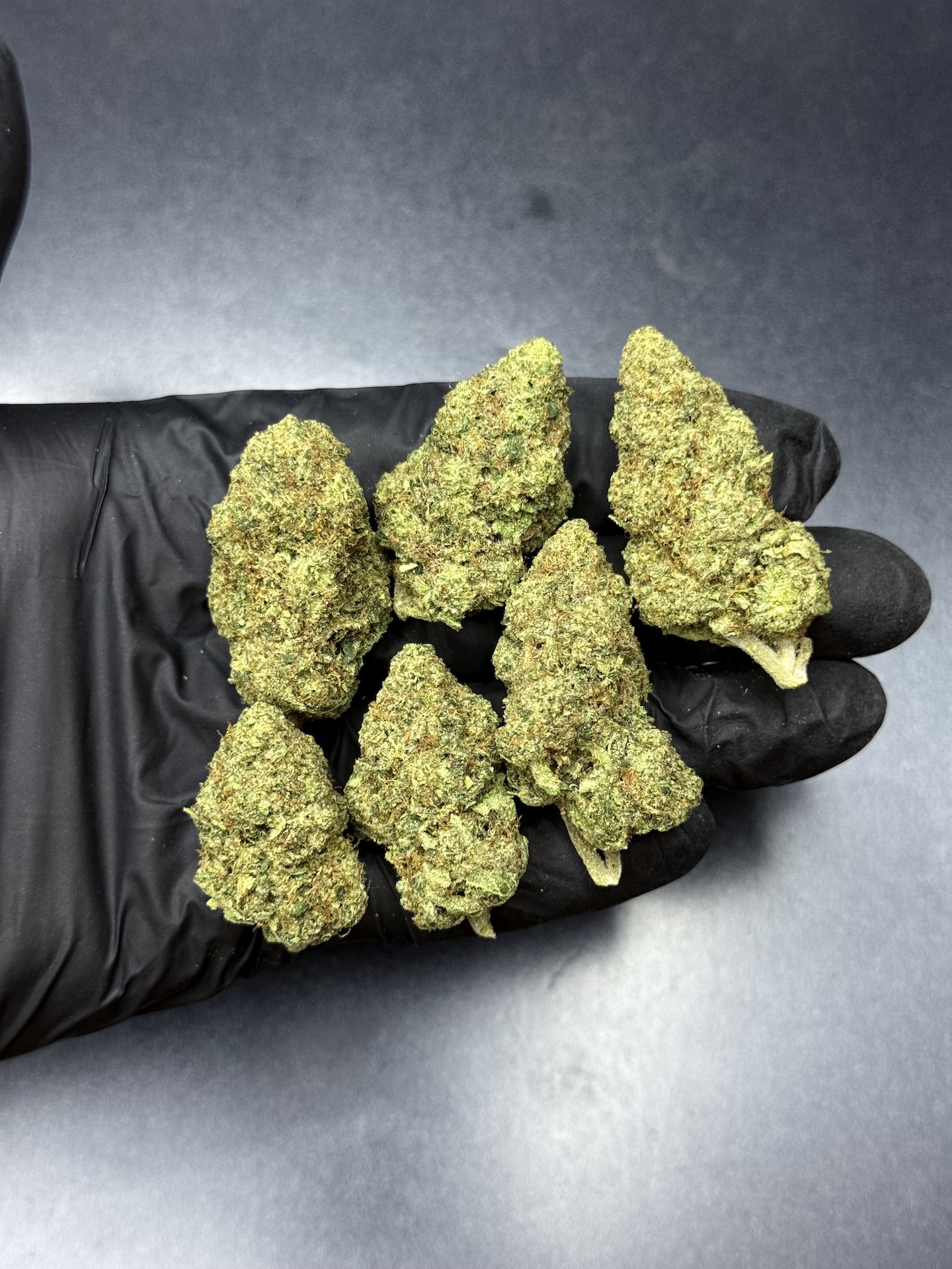 Super Lemon Haze By. Greenhouseseeds THC 25-30% (Sold Out) 🚫 สินค้าที่ขายหมดแล้ว - Image 5