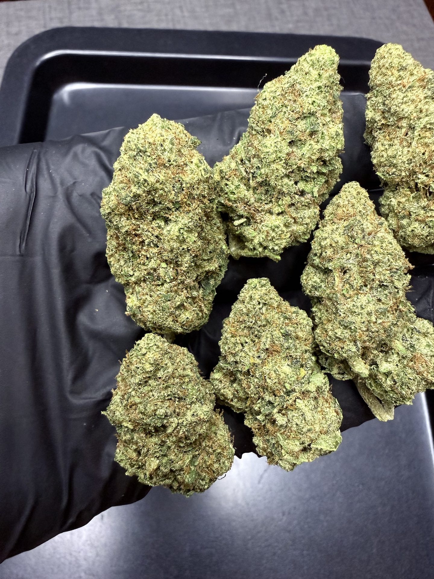 Super Lemon Haze By. Greenhouseseeds THC 25-30% (Sold Out) 🚫 สินค้าที่ขายหมดแล้ว - Image 3