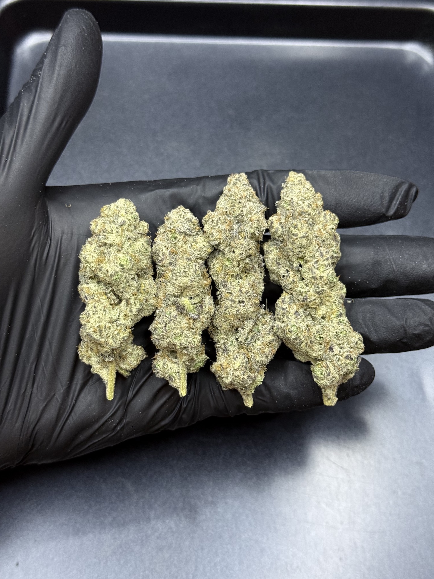 Giggle Gas By. Solfire Gardens THC 25-30% - Image 5