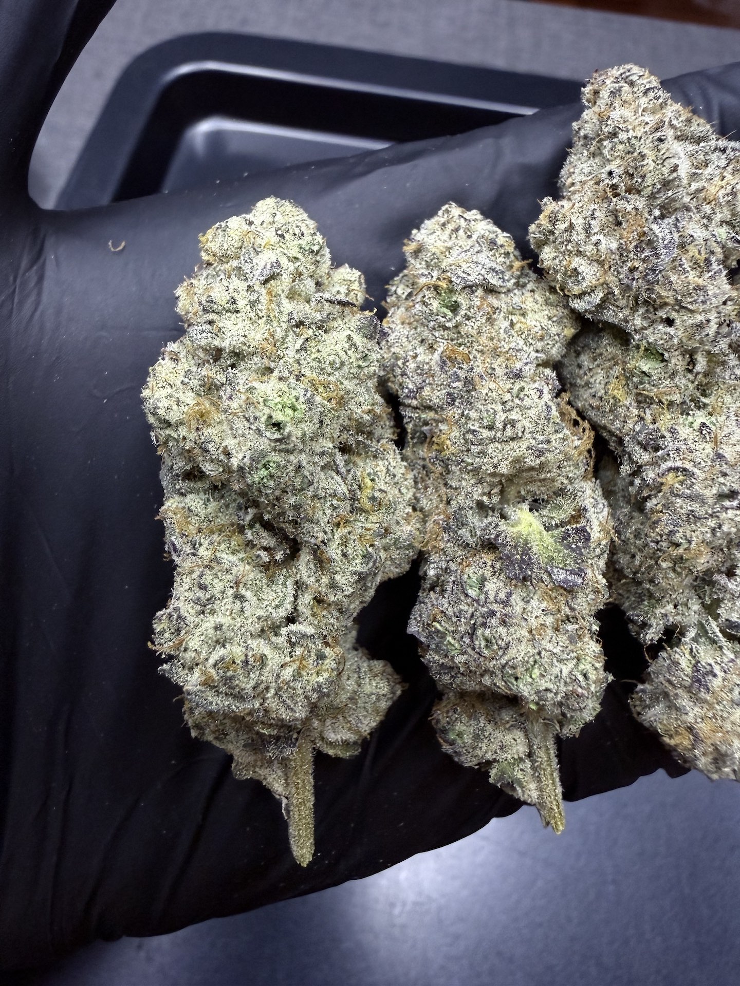 Giggle Gas By. Solfire Gardens THC 25-30% - Image 3