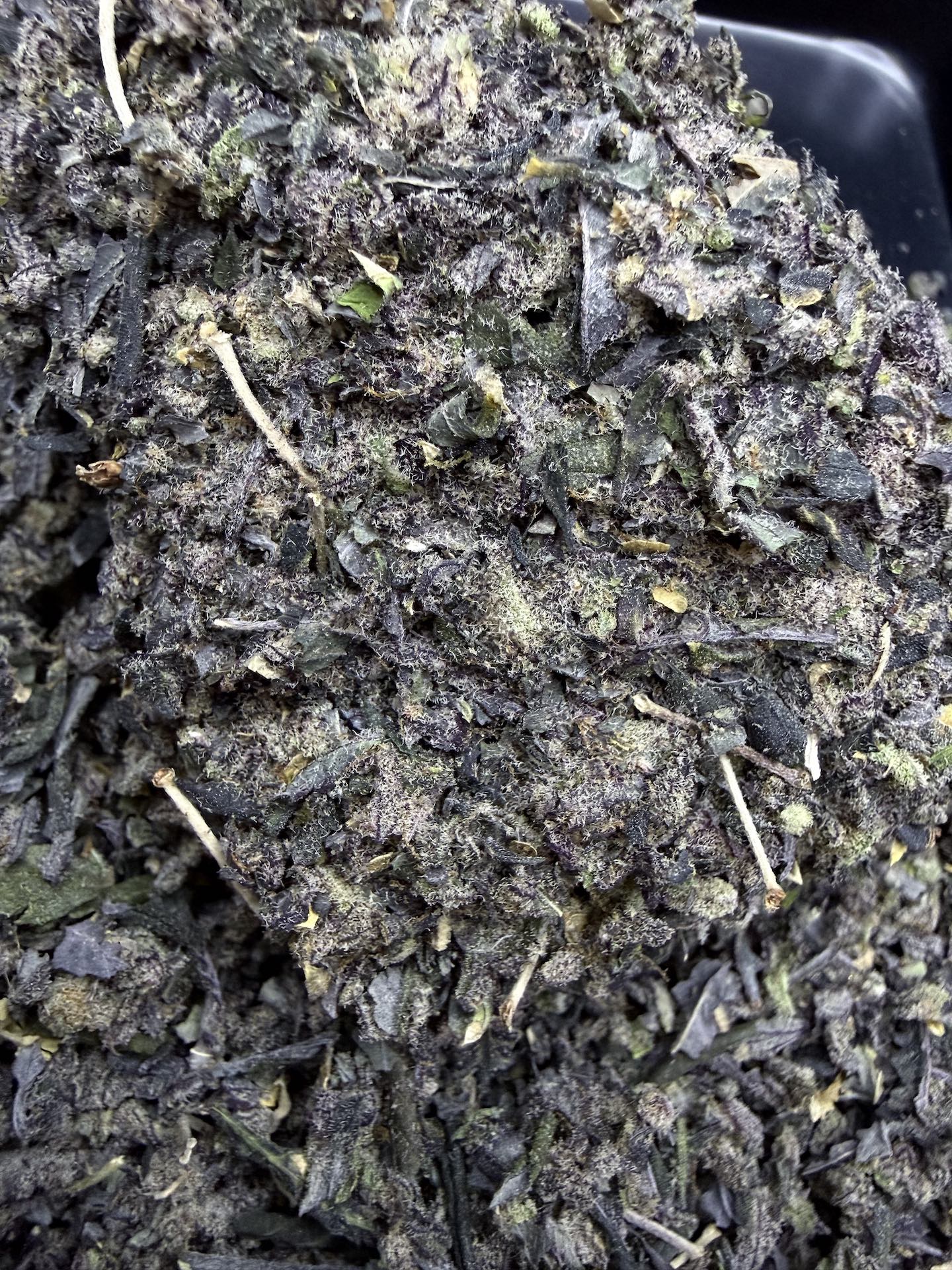 ทริม+ดอกแตก Apple Candie By. Elev8 Seeds THC 25-30% - Image 3