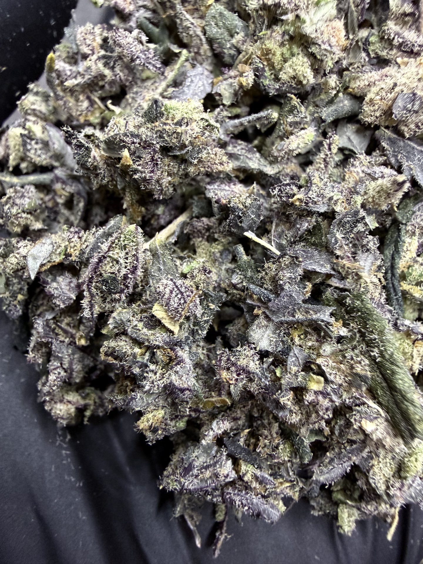 ทริม+ดอกแตก Apple Candie By. Elev8 Seeds THC 25-30% - Image 2