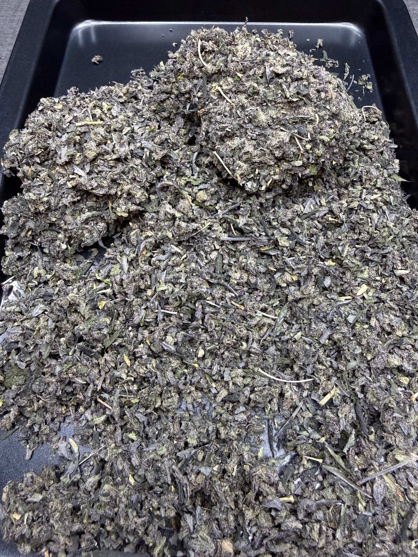 ทริม+ดอกแตก Apple Candie By. Elev8 Seeds THC 25-30% - Image 5