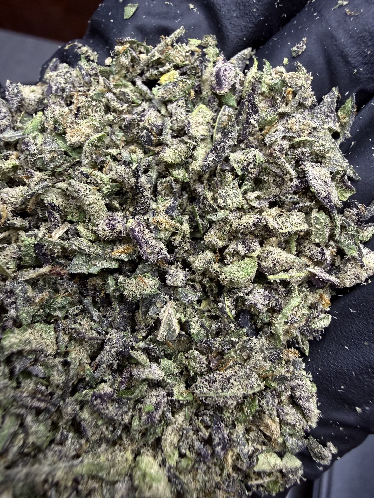 ทริม+ดอกแตก Strawberry Cookies OG R1 By. ETHOS Genetics THC 25-30% - Image 5