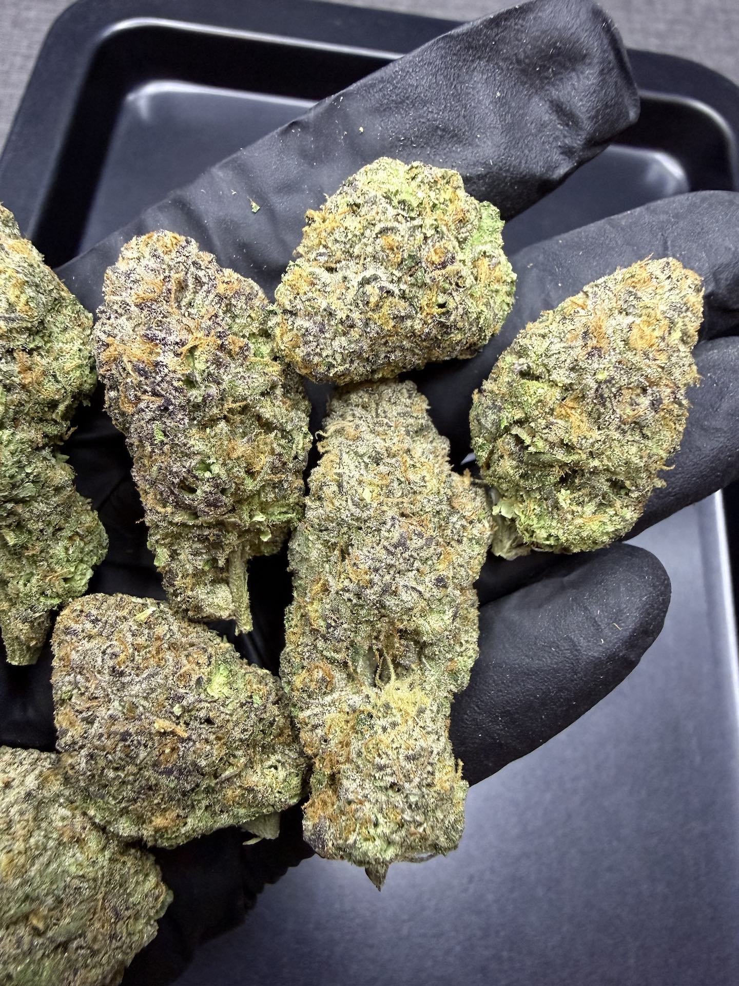 Magic Pop Rocks By. Seed Junky THC 25-30% - Image 4