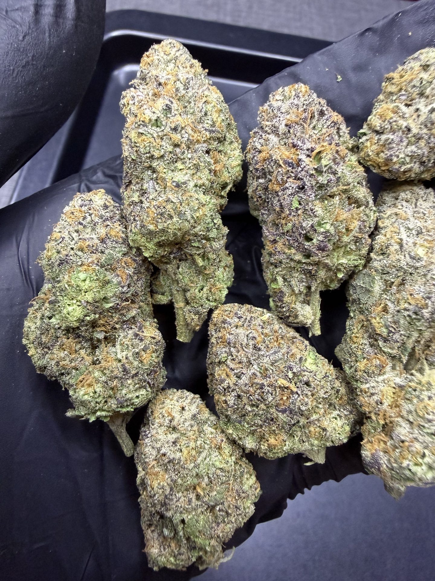 Magic Pop Rocks By. Seed Junky THC 25-30% - Image 3