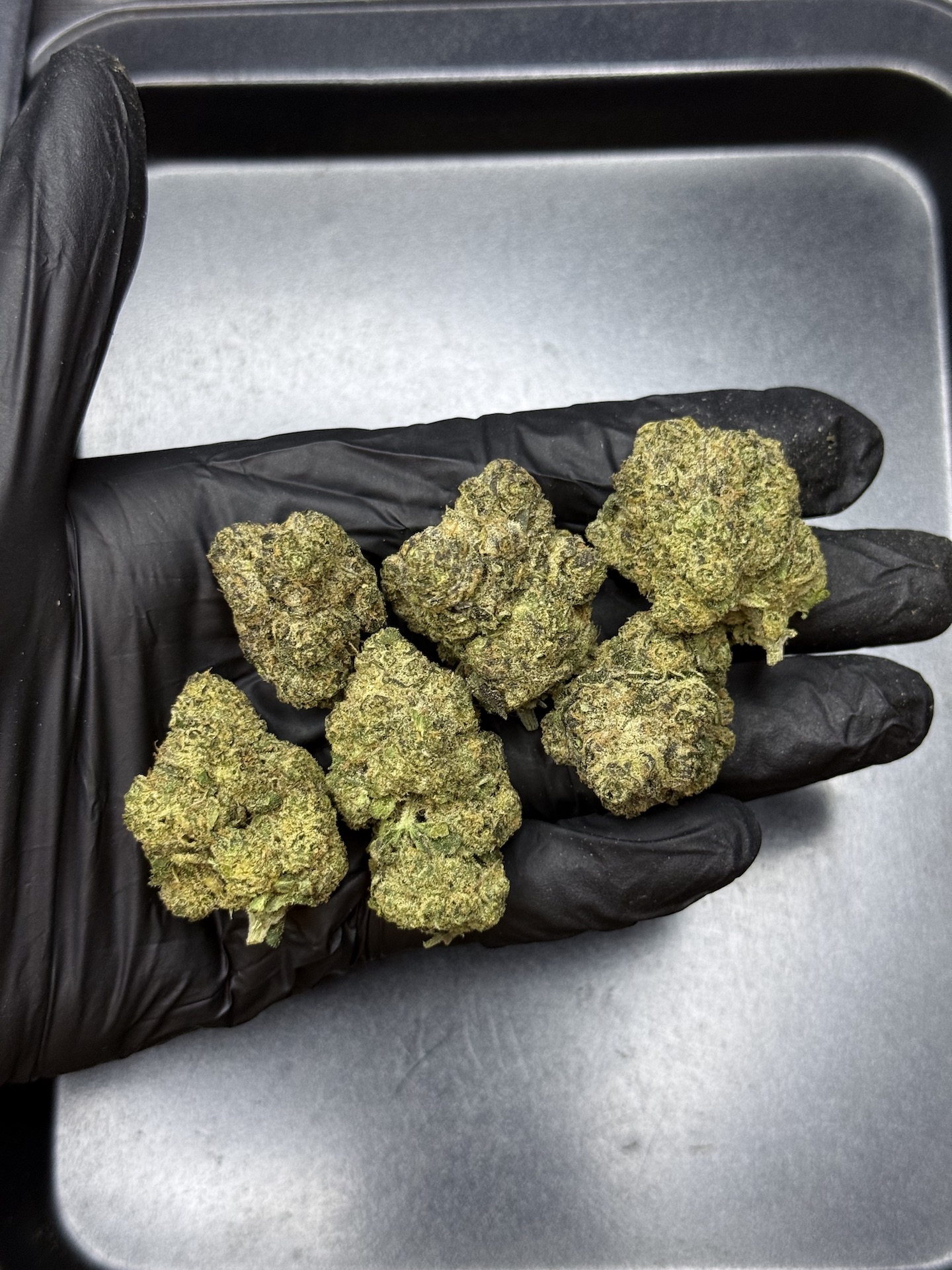 Gasper By. In House Genetics THC 25-30% - Image 2