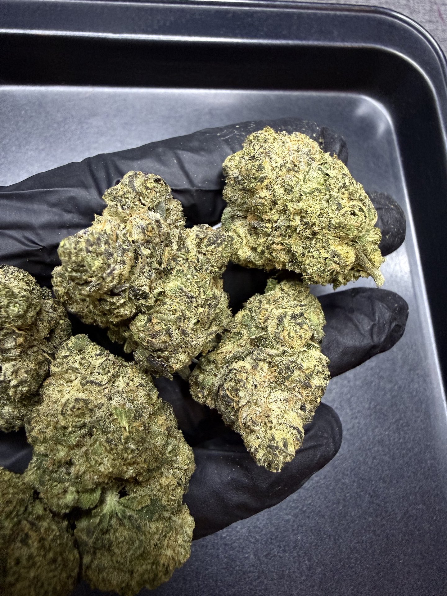 Gasper By. In House Genetics THC 25-30% - Image 5