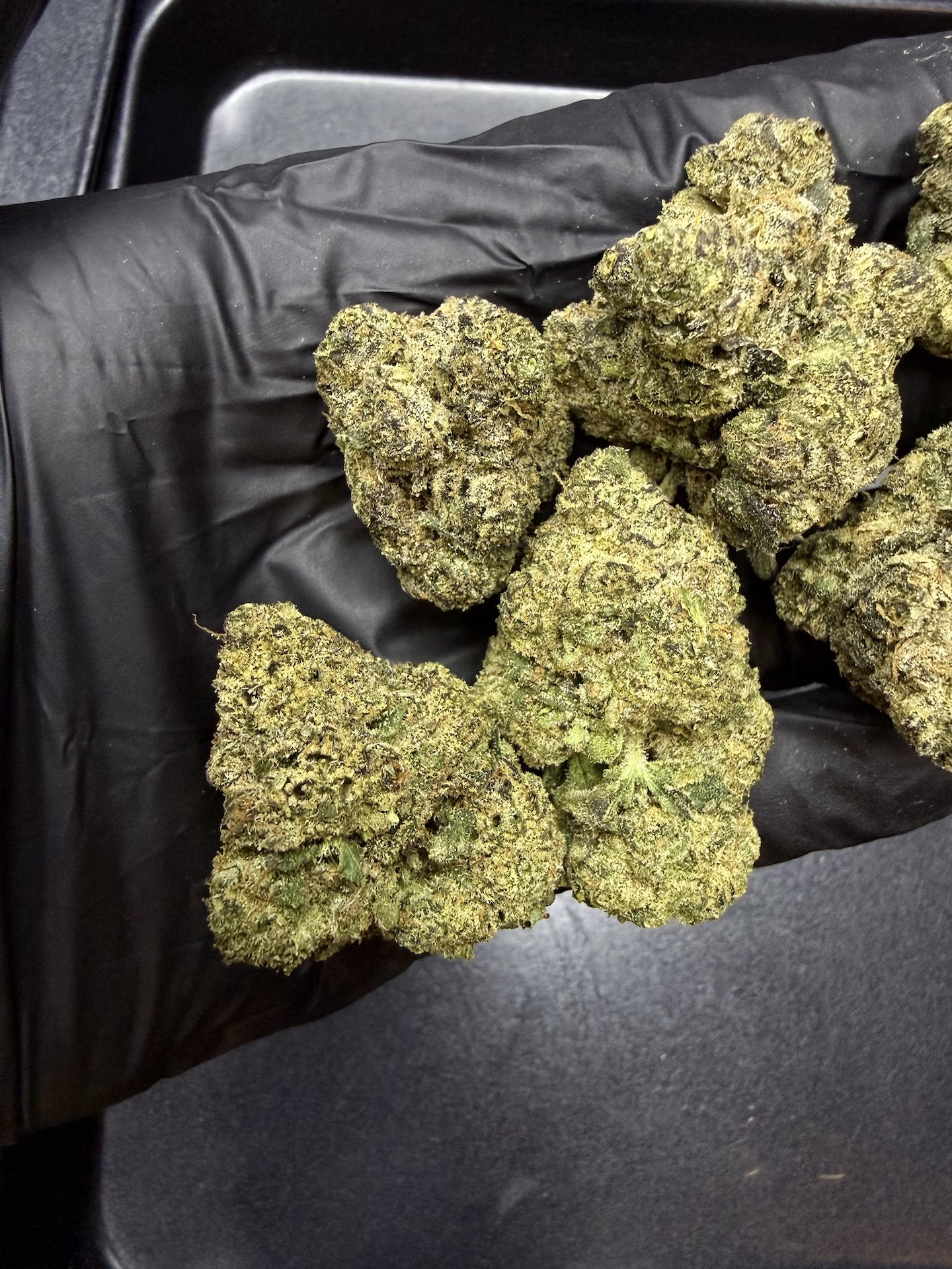 Gasper By. In House Genetics THC 25-30% - Image 4