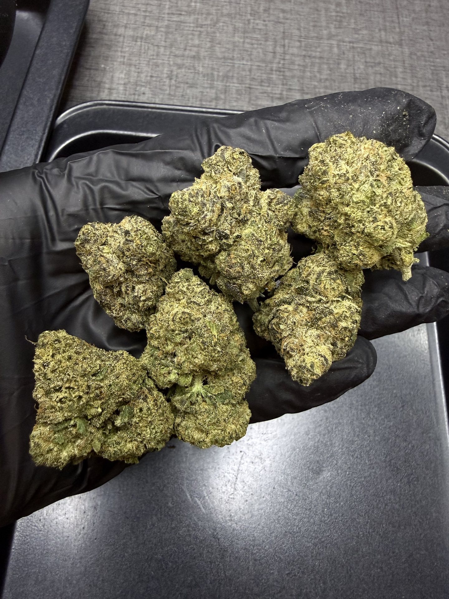 Gasper By. In House Genetics THC 25-30% - Image 3