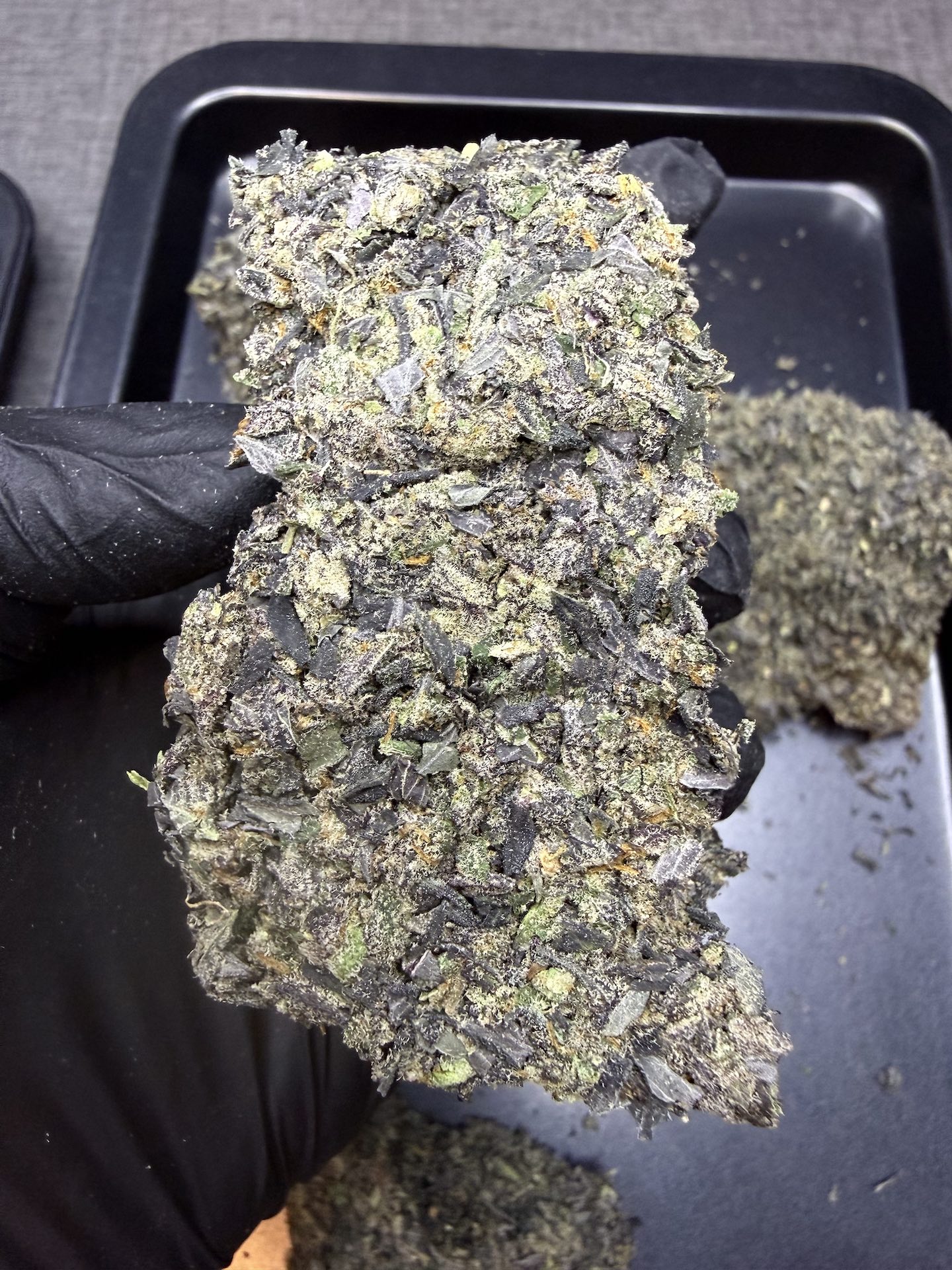 ทริม+ดอกแตก Mamba Marker By. Seed Junky THC 25-30% - Image 4