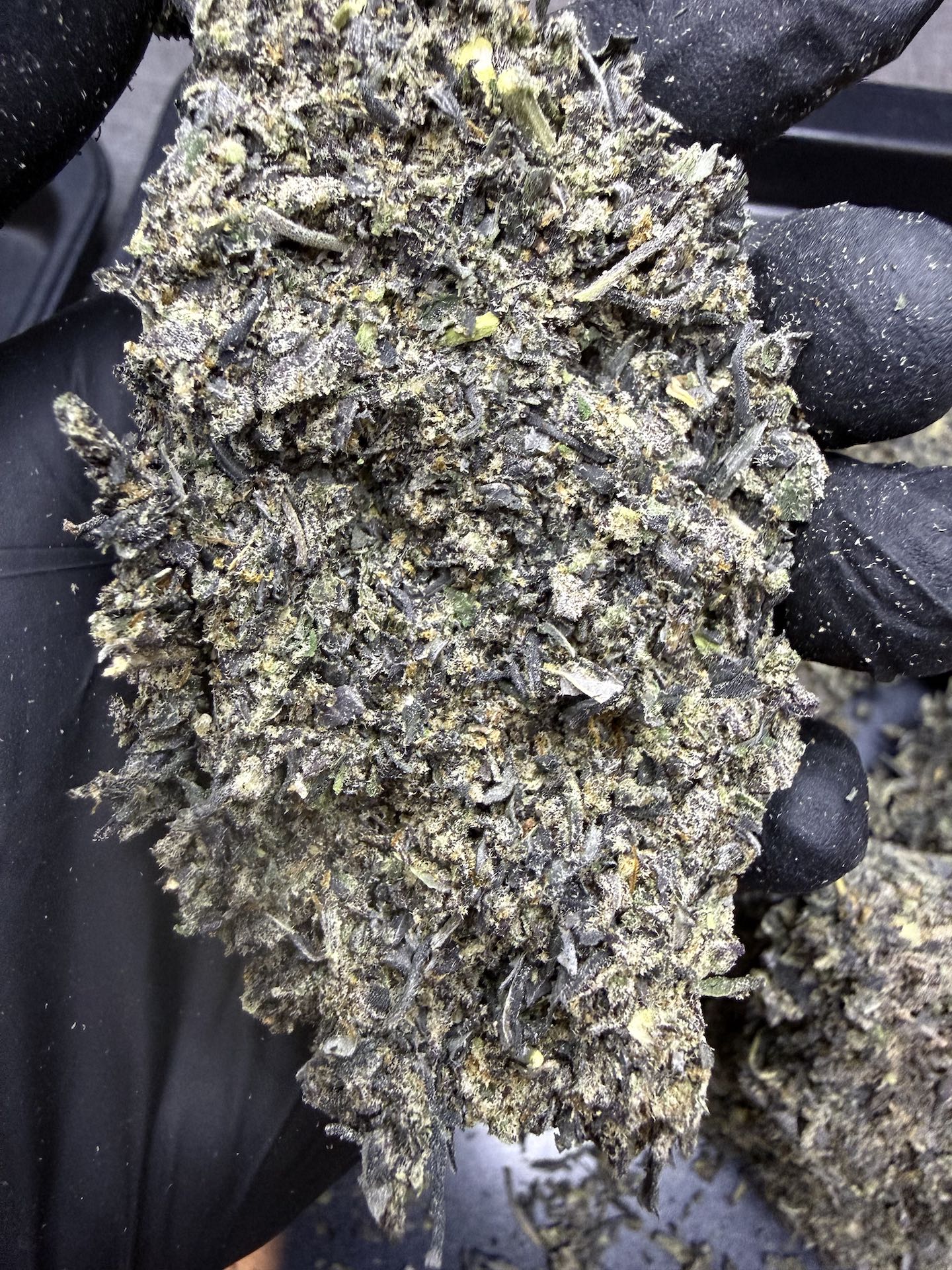 ทริม+ดอกแตก Mamba Marker By. Seed Junky THC 25-30% - Image 3