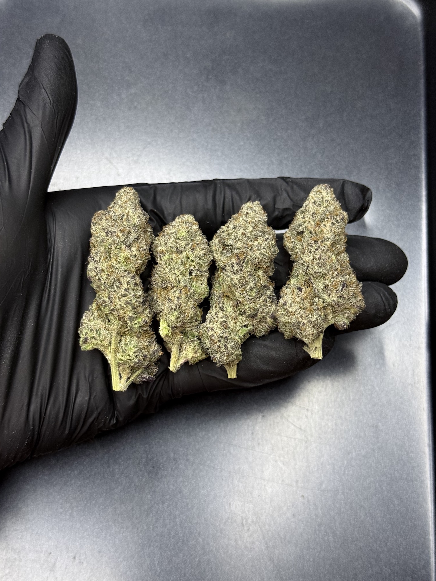 Rastamon By. BeanFiendz THC 30%+ - Image 2