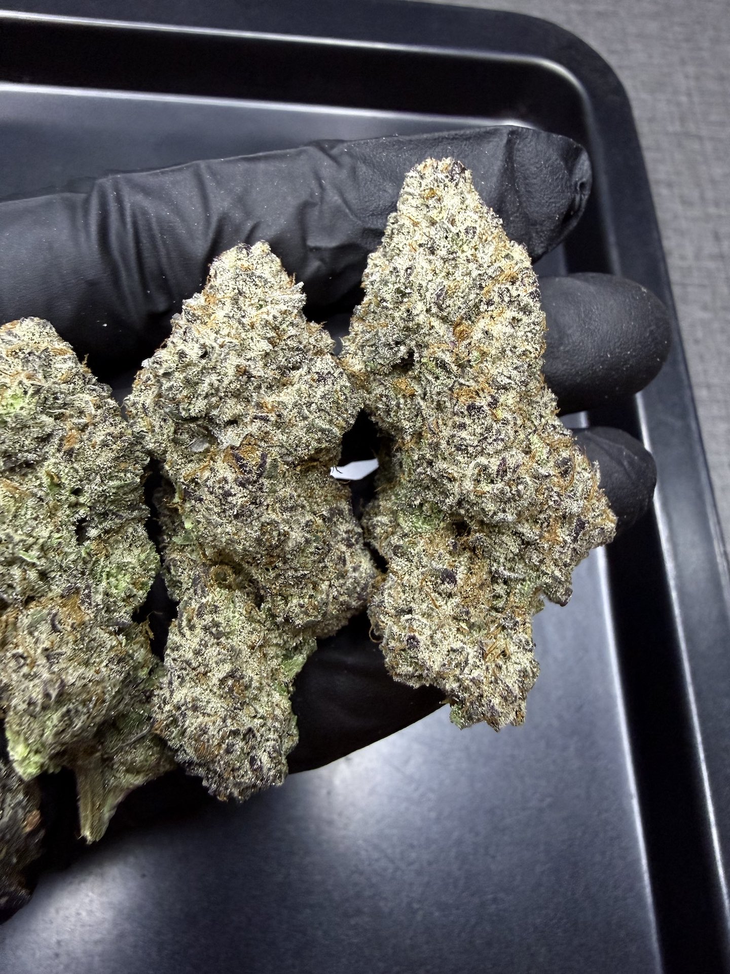 Rastamon By. BeanFiendz THC 30%+ - Image 5