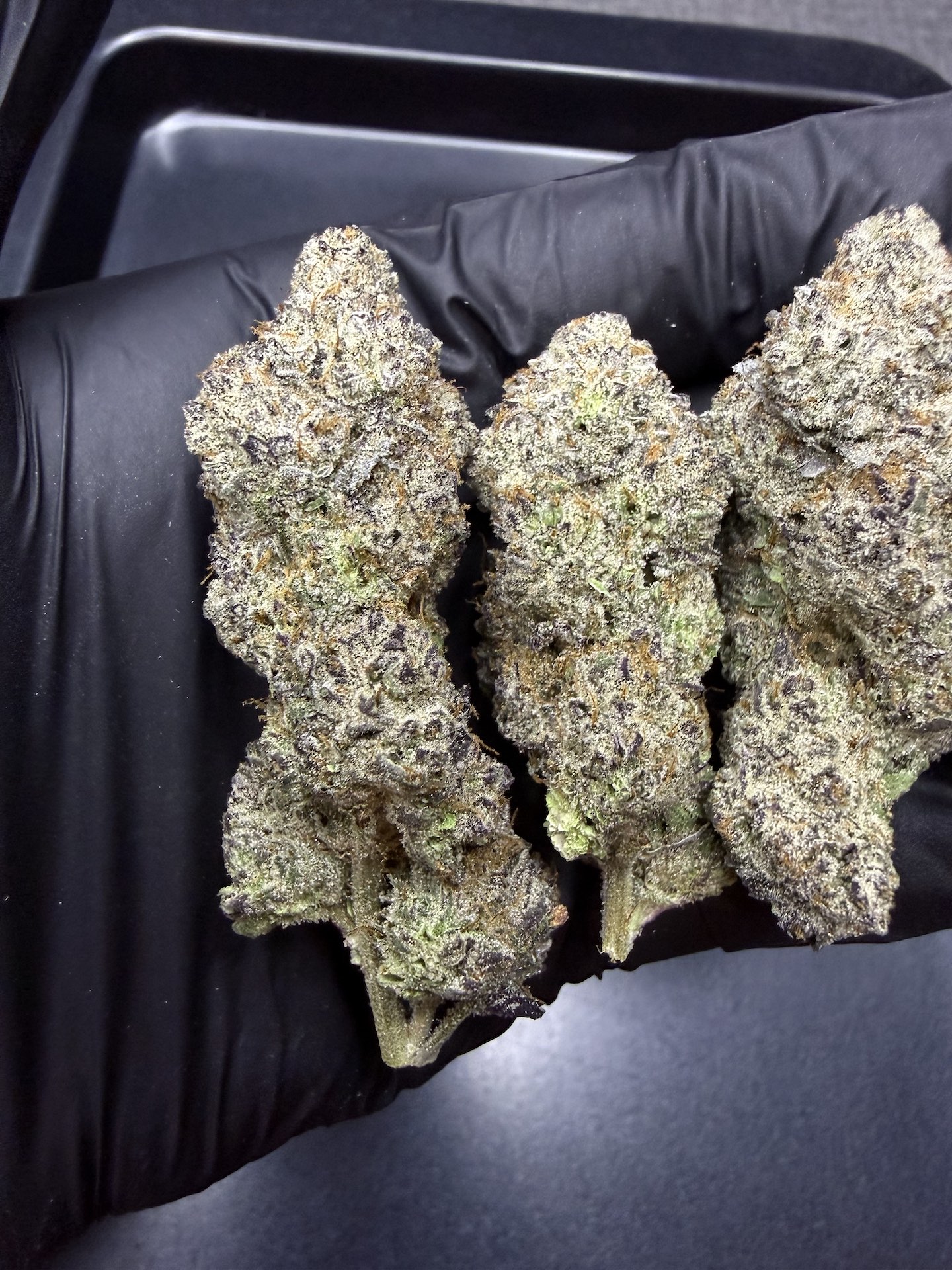 Rastamon By. BeanFiendz THC 30%+ - Image 4