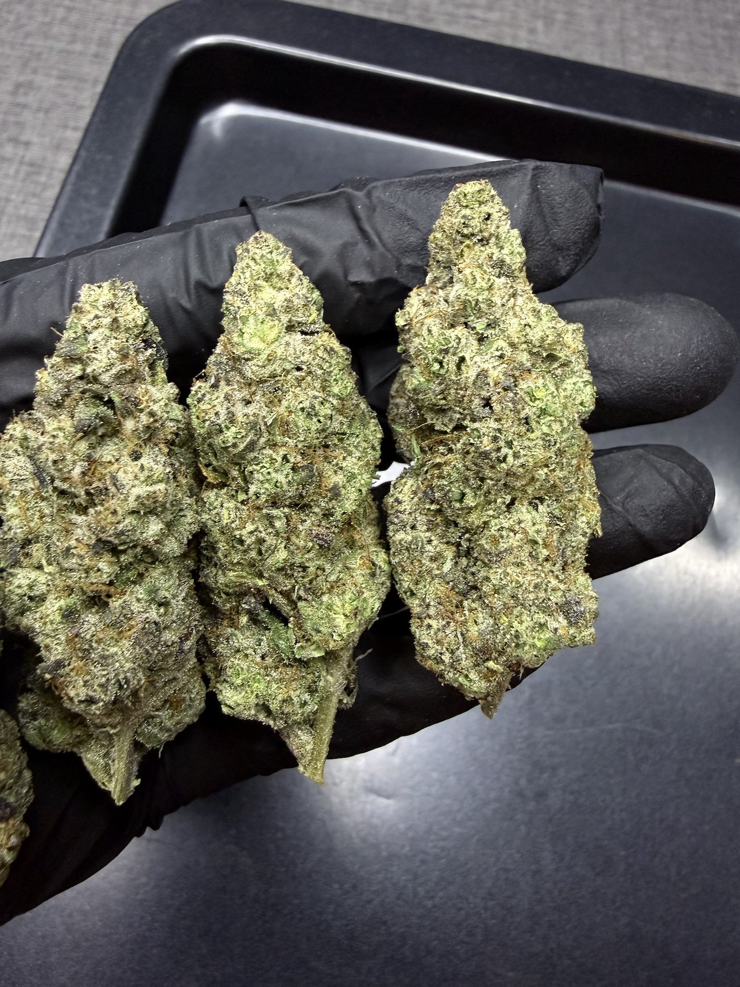 Permanent Gas By. Seed Junky THC 25-30% - Image 2