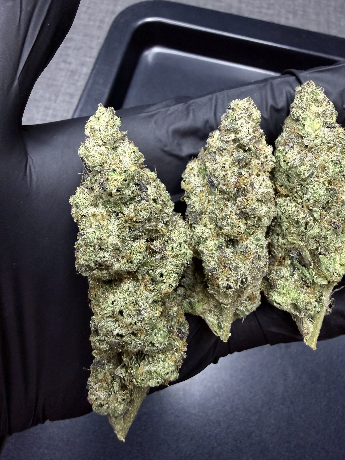 Permanent Gas By. Seed Junky THC 25-30% - Image 3