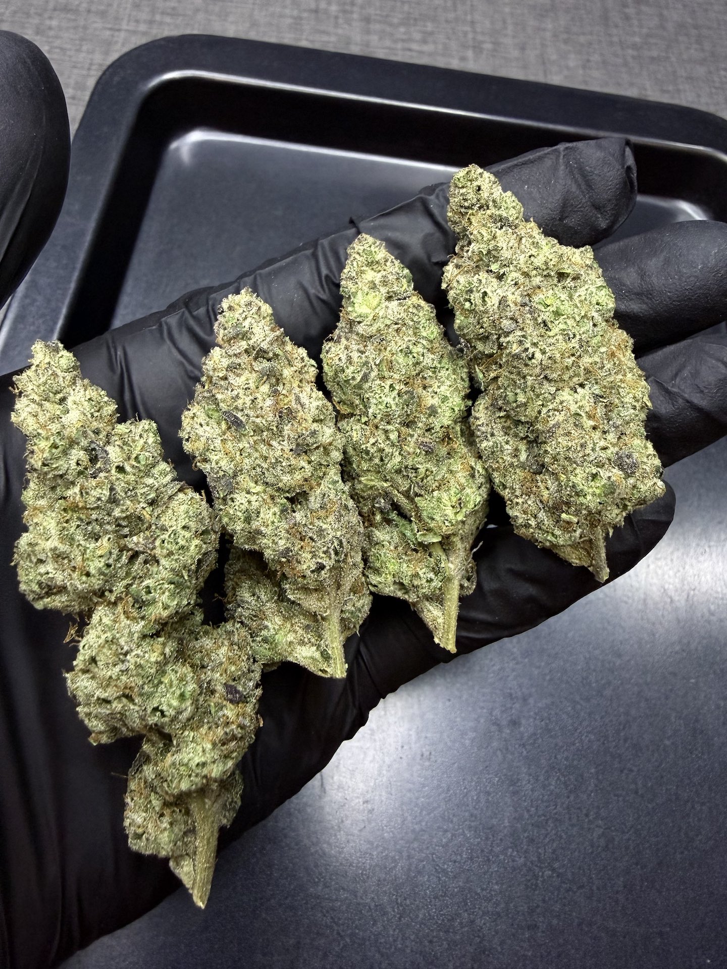 Permanent Gas By. Seed Junky THC 25-30% - Image 4